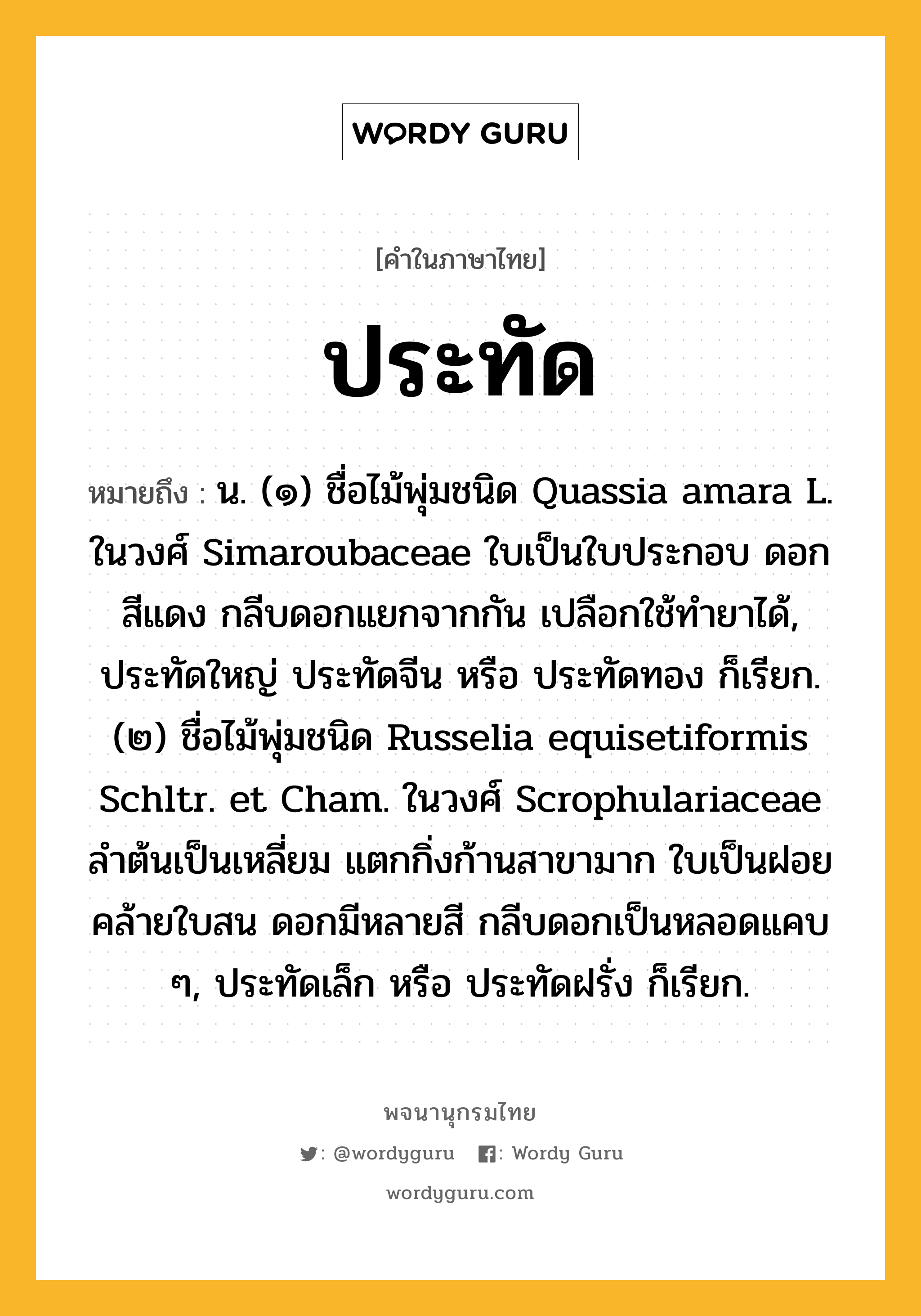 ประทัด ความหมาย หมายถึงอะไร?, คำในภาษาไทย ประทัด หมายถึง น. (๑) ชื่อไม้พุ่มชนิด Quassia amara L. ในวงศ์ Simaroubaceae ใบเป็นใบประกอบ ดอกสีแดง กลีบดอกแยกจากกัน เปลือกใช้ทํายาได้, ประทัดใหญ่ ประทัดจีน หรือ ประทัดทอง ก็เรียก. (๒) ชื่อไม้พุ่มชนิด Russelia equisetiformis Schltr. et Cham. ในวงศ์ Scrophulariaceae ลําต้นเป็นเหลี่ยม แตกกิ่งก้านสาขามาก ใบเป็นฝอยคล้ายใบสน ดอกมีหลายสี กลีบดอกเป็นหลอดแคบ ๆ, ประทัดเล็ก หรือ ประทัดฝรั่ง ก็เรียก.