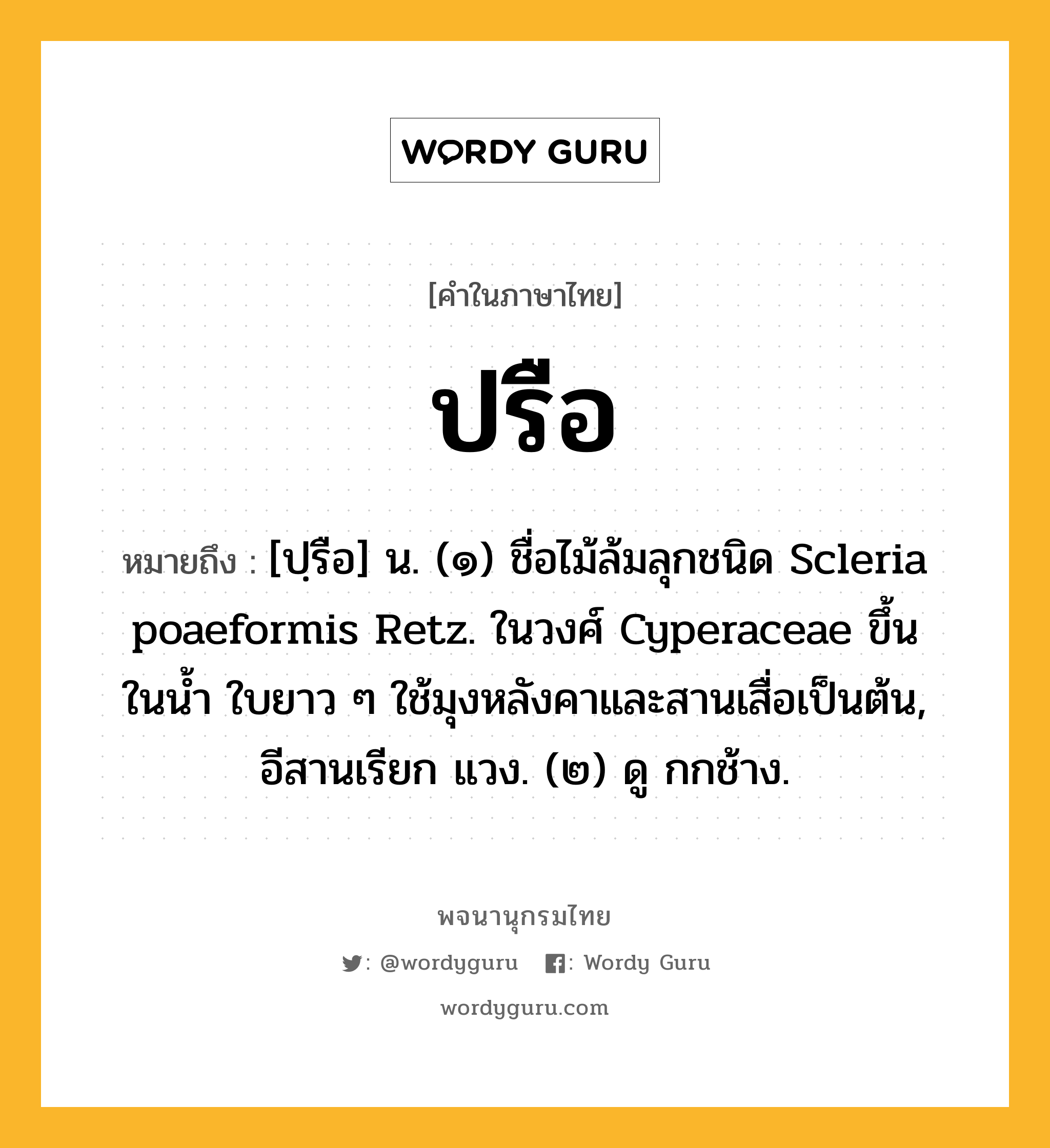 ปรือ หมายถึงอะไร?, คำในภาษาไทย ปรือ หมายถึง [ปฺรือ] น. (๑) ชื่อไม้ล้มลุกชนิด Scleria poaeformis Retz. ในวงศ์ Cyperaceae ขึ้นในนํ้า ใบยาว ๆ ใช้มุงหลังคาและสานเสื่อเป็นต้น, อีสานเรียก แวง. (๒) ดู กกช้าง.