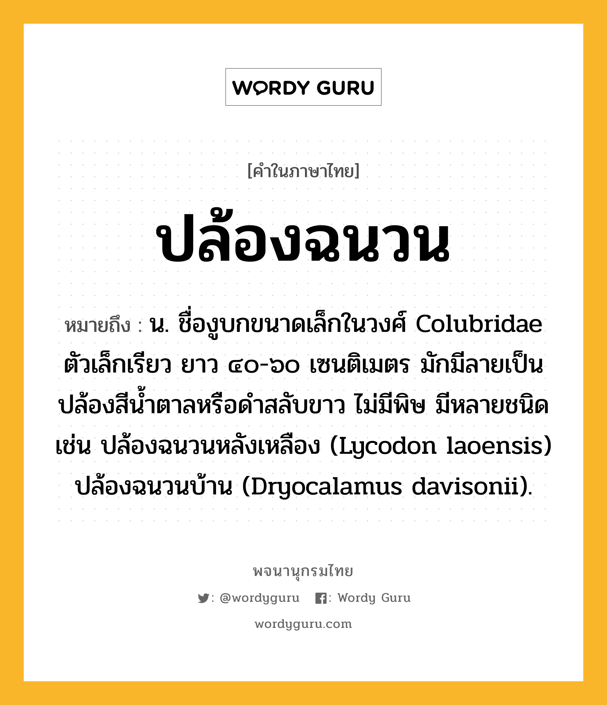 ปล้องฉนวน หมายถึงอะไร?, คำในภาษาไทย ปล้องฉนวน หมายถึง น. ชื่องูบกขนาดเล็กในวงศ์ Colubridae ตัวเล็กเรียว ยาว ๔๐-๖๐ เซนติเมตร มักมีลายเป็นปล้องสีนํ้าตาลหรือดําสลับขาว ไม่มีพิษ มีหลายชนิด เช่น ปล้องฉนวนหลังเหลือง (Lycodon laoensis) ปล้องฉนวนบ้าน (Dryocalamus davisonii).