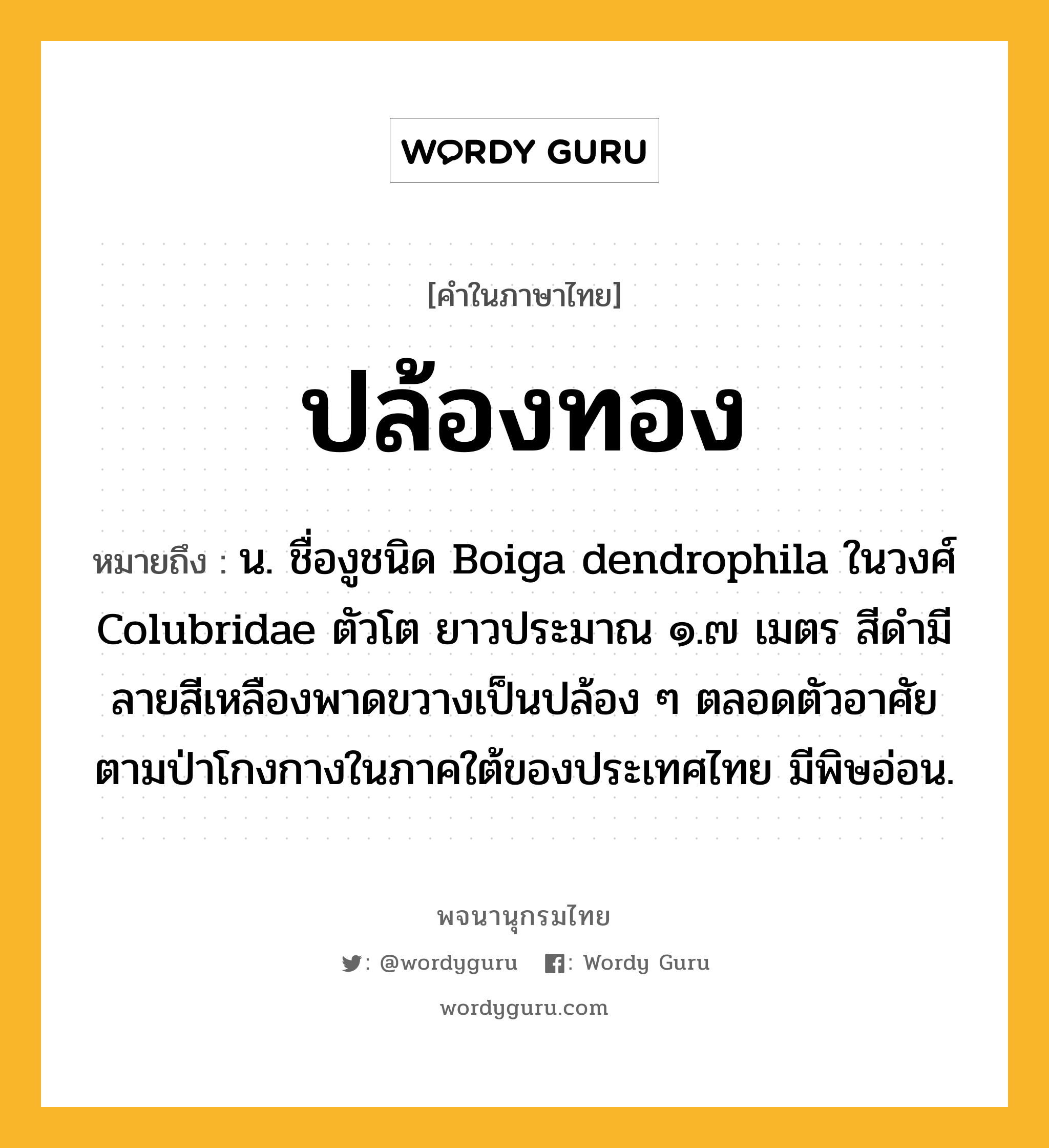 ปล้องทอง หมายถึงอะไร?, คำในภาษาไทย ปล้องทอง หมายถึง น. ชื่องูชนิด Boiga dendrophila ในวงศ์ Colubridae ตัวโต ยาวประมาณ ๑.๗ เมตร สีดํามีลายสีเหลืองพาดขวางเป็นปล้อง ๆ ตลอดตัวอาศัยตามป่าโกงกางในภาคใต้ของประเทศไทย มีพิษอ่อน.