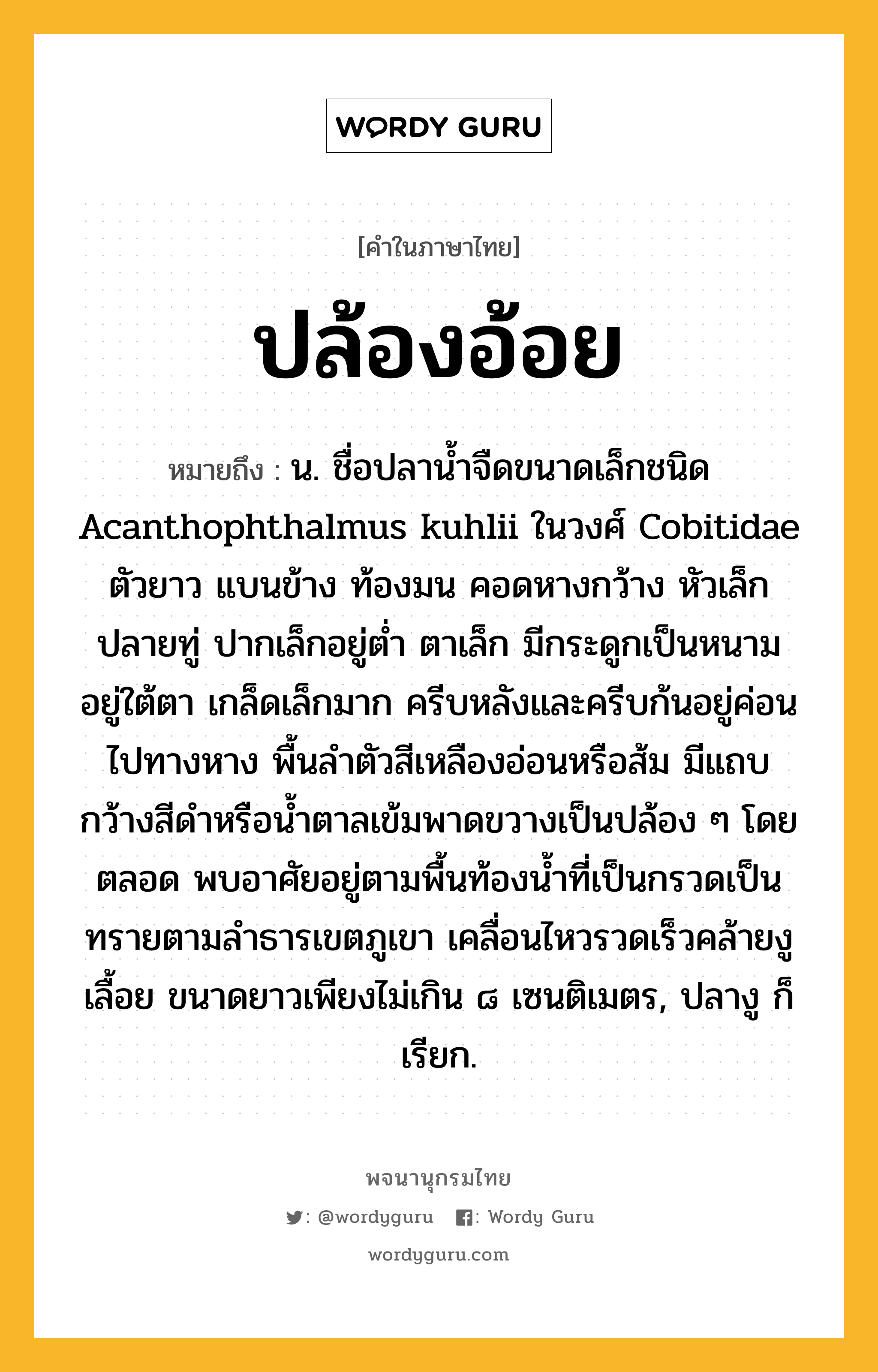 ปล้องอ้อย ความหมาย หมายถึงอะไร?, คำในภาษาไทย ปล้องอ้อย หมายถึง น. ชื่อปลานํ้าจืดขนาดเล็กชนิด Acanthophthalmus kuhlii ในวงศ์ Cobitidae ตัวยาว แบนข้าง ท้องมน คอดหางกว้าง หัวเล็กปลายทู่ ปากเล็กอยู่ตํ่า ตาเล็ก มีกระดูกเป็นหนามอยู่ใต้ตา เกล็ดเล็กมาก ครีบหลังและครีบก้นอยู่ค่อนไปทางหาง พื้นลําตัวสีเหลืองอ่อนหรือส้ม มีแถบกว้างสีดําหรือนํ้าตาลเข้มพาดขวางเป็นปล้อง ๆ โดยตลอด พบอาศัยอยู่ตามพื้นท้องนํ้าที่เป็นกรวดเป็นทรายตามลําธารเขตภูเขา เคลื่อนไหวรวดเร็วคล้ายงูเลื้อย ขนาดยาวเพียงไม่เกิน ๘ เซนติเมตร, ปลางู ก็เรียก.