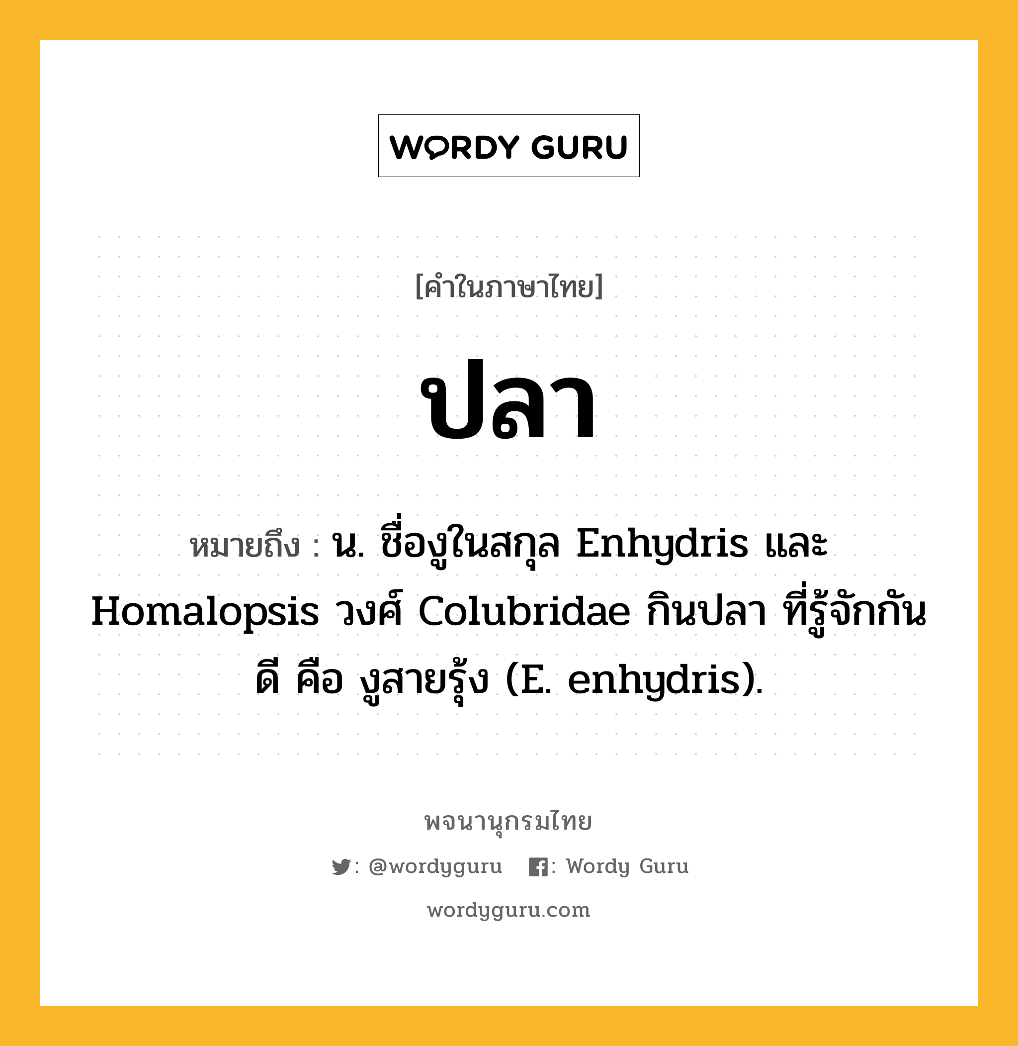 ปลา หมายถึงอะไร?, คำในภาษาไทย ปลา หมายถึง น. ชื่องูในสกุล Enhydris และ Homalopsis วงศ์ Colubridae กินปลา ที่รู้จักกันดี คือ งูสายรุ้ง (E. enhydris).