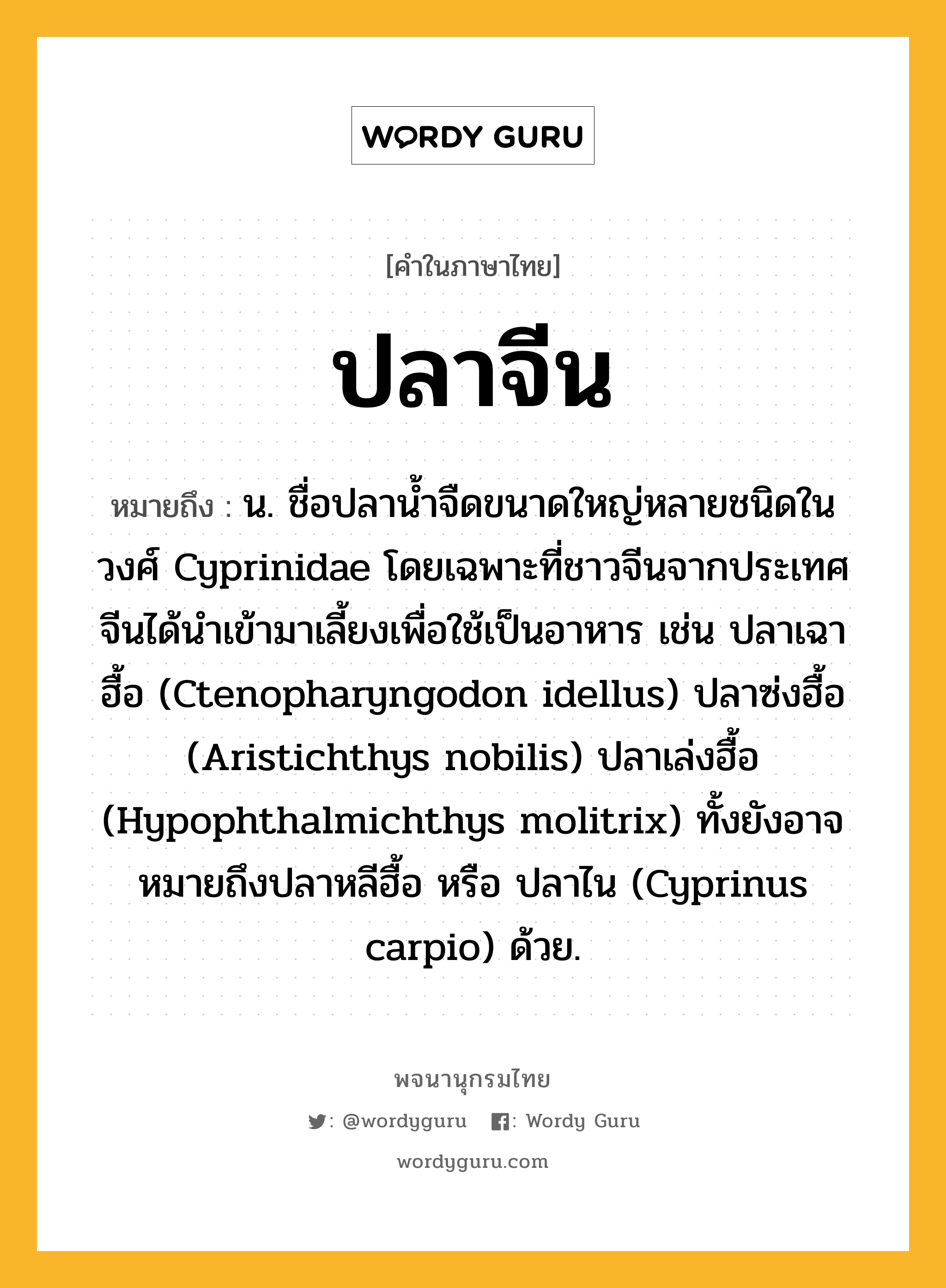 ปลาจีน ความหมาย หมายถึงอะไร?, คำในภาษาไทย ปลาจีน หมายถึง น. ชื่อปลานํ้าจืดขนาดใหญ่หลายชนิดในวงศ์ Cyprinidae โดยเฉพาะที่ชาวจีนจากประเทศจีนได้นําเข้ามาเลี้ยงเพื่อใช้เป็นอาหาร เช่น ปลาเฉาฮื้อ (Ctenopharyngodon idellus) ปลาซ่งฮื้อ (Aristichthys nobilis) ปลาเล่งฮื้อ (Hypophthalmichthys molitrix) ทั้งยังอาจหมายถึงปลาหลีฮื้อ หรือ ปลาไน (Cyprinus carpio) ด้วย.