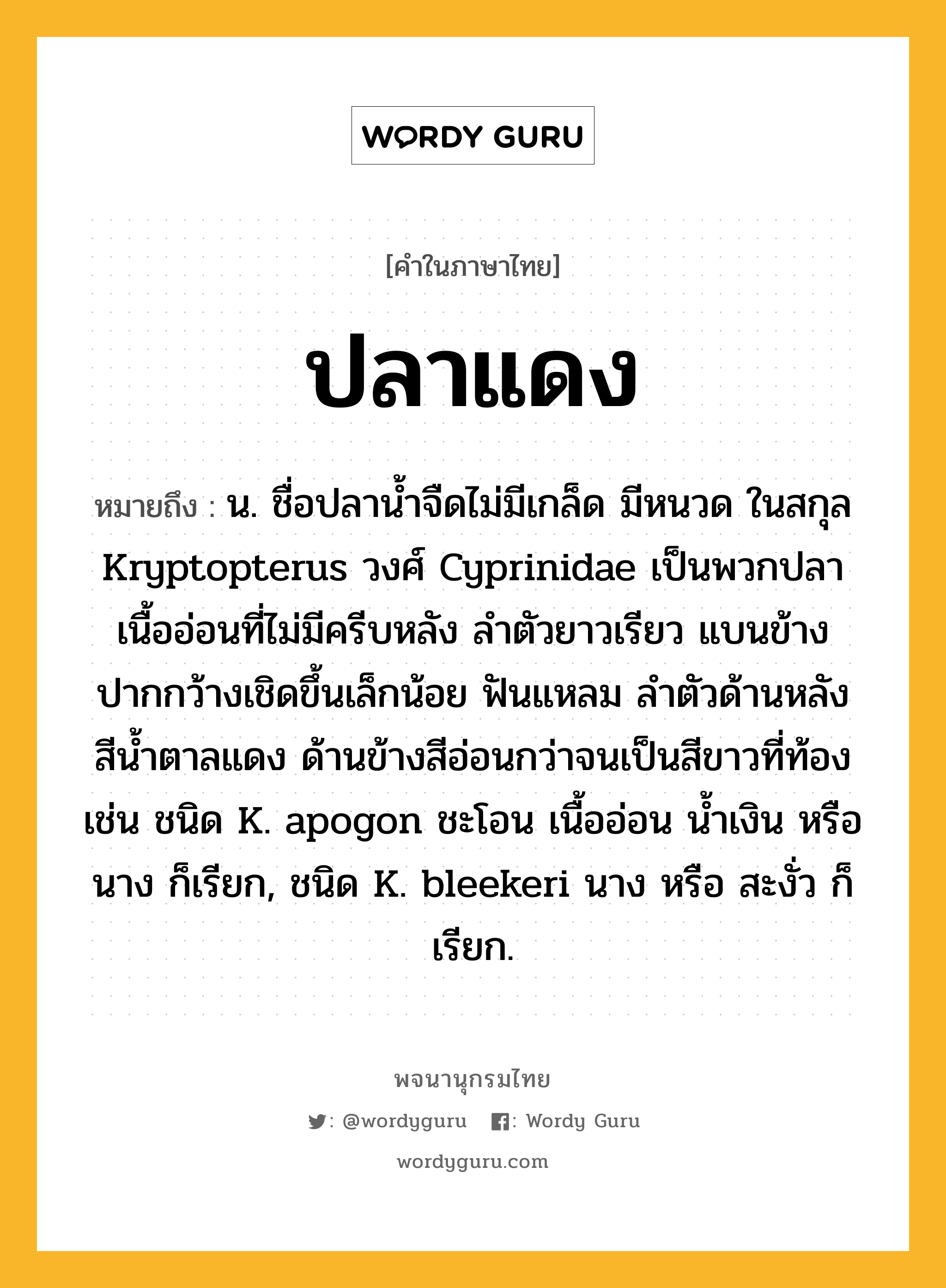 ปลาแดง หมายถึงอะไร?, คำในภาษาไทย ปลาแดง หมายถึง น. ชื่อปลานํ้าจืดไม่มีเกล็ด มีหนวด ในสกุล Kryptopterus วงศ์ Cyprinidae เป็นพวกปลาเนื้ออ่อนที่ไม่มีครีบหลัง ลําตัวยาวเรียว แบนข้าง ปากกว้างเชิดขึ้นเล็กน้อย ฟันแหลม ลําตัวด้านหลังสีนํ้าตาลแดง ด้านข้างสีอ่อนกว่าจนเป็นสีขาวที่ท้อง เช่น ชนิด K. apogon ชะโอน เนื้ออ่อน นํ้าเงิน หรือ นาง ก็เรียก, ชนิด K. bleekeri นาง หรือ สะงั่ว ก็เรียก.