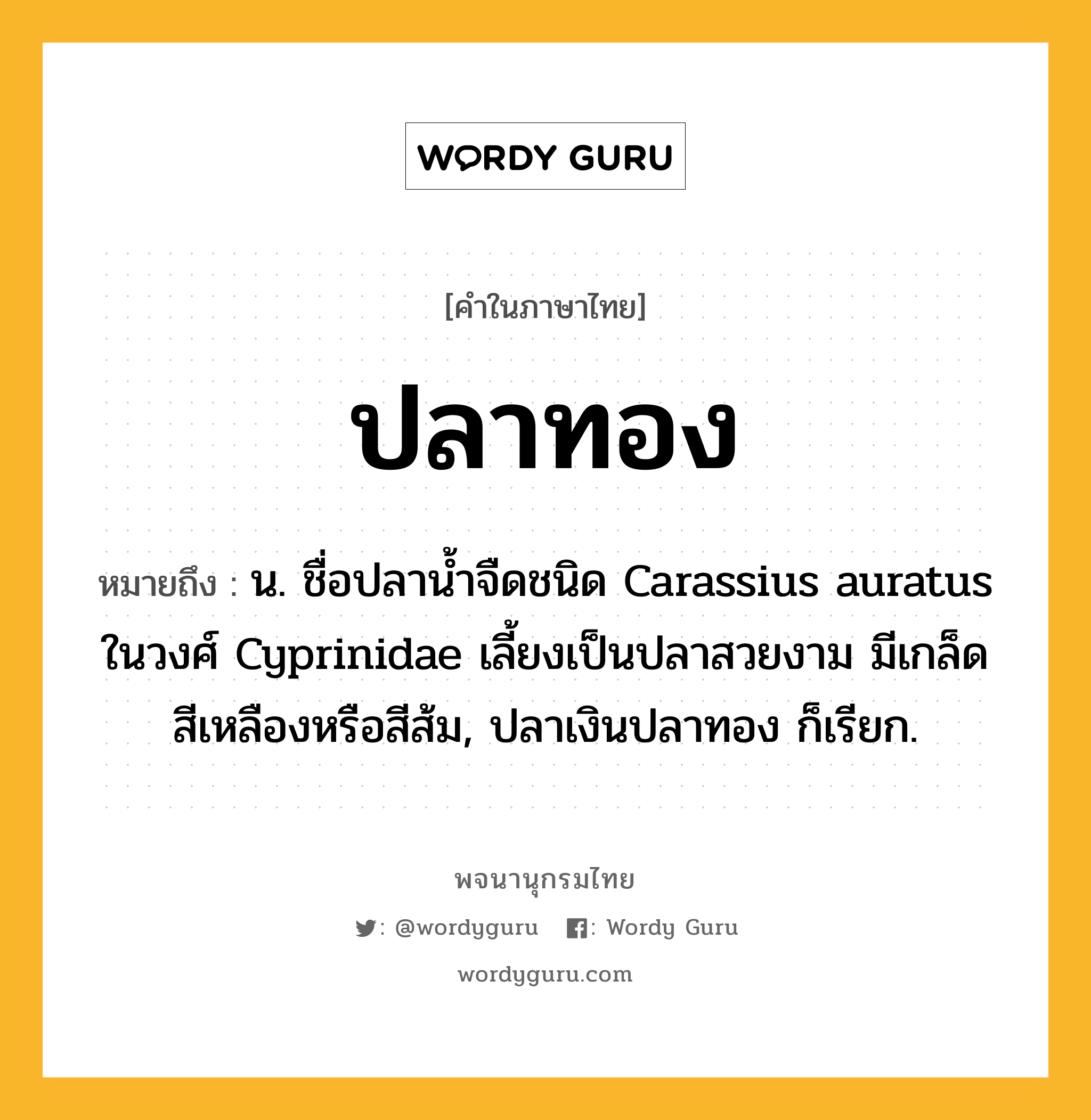 ปลาทอง หมายถึงอะไร?, คำในภาษาไทย ปลาทอง หมายถึง น. ชื่อปลาน้ำจืดชนิด Carassius auratus ในวงศ์ Cyprinidae เลี้ยงเป็นปลาสวยงาม มีเกล็ดสีเหลืองหรือสีส้ม, ปลาเงินปลาทอง ก็เรียก.