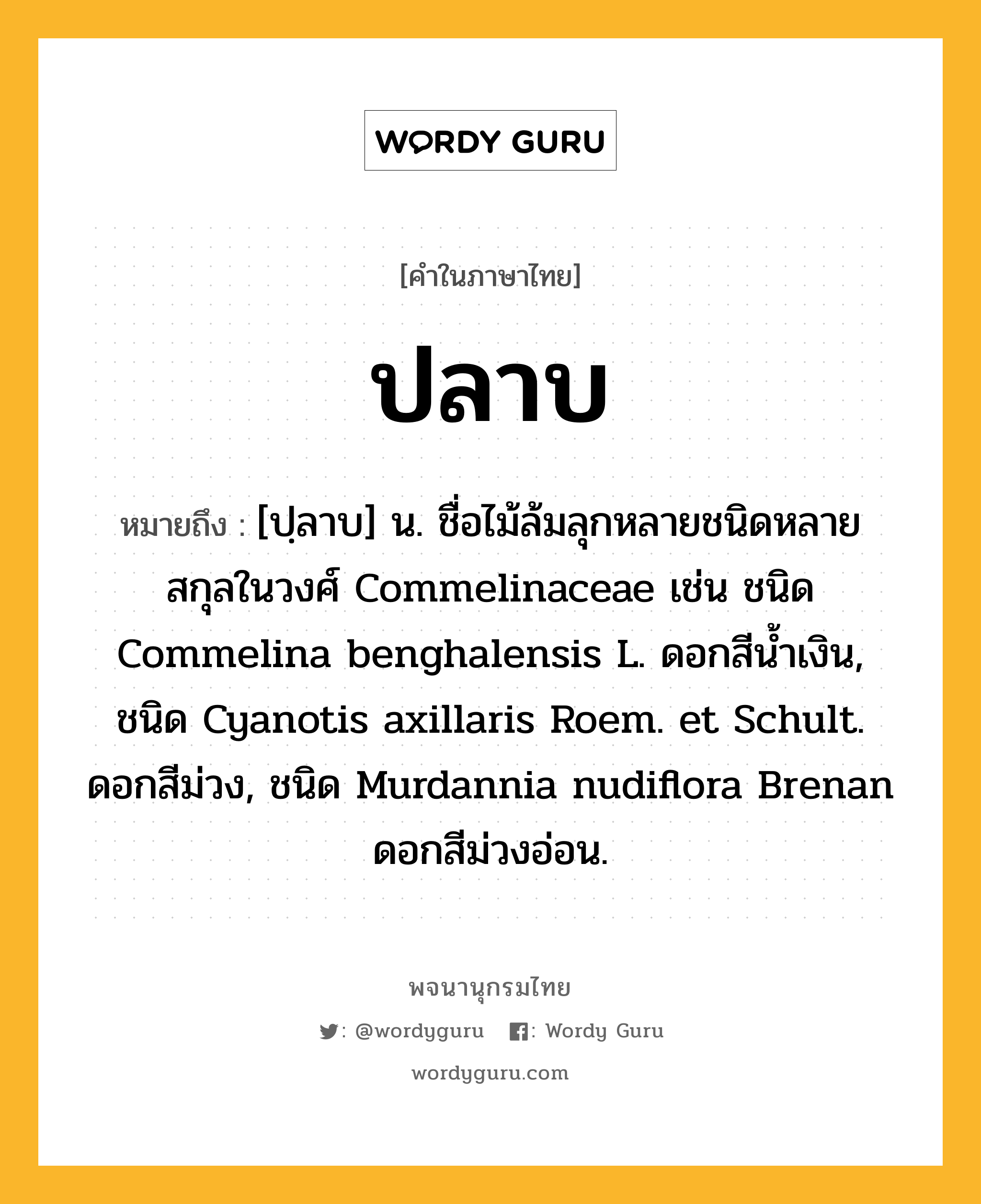 ปลาบ หมายถึงอะไร?, คำในภาษาไทย ปลาบ หมายถึง [ปฺลาบ] น. ชื่อไม้ล้มลุกหลายชนิดหลายสกุลในวงศ์ Commelinaceae เช่น ชนิด Commelina benghalensis L. ดอกสีนํ้าเงิน, ชนิด Cyanotis axillaris Roem. et Schult. ดอกสีม่วง, ชนิด Murdannia nudiflora Brenan ดอกสีม่วงอ่อน.