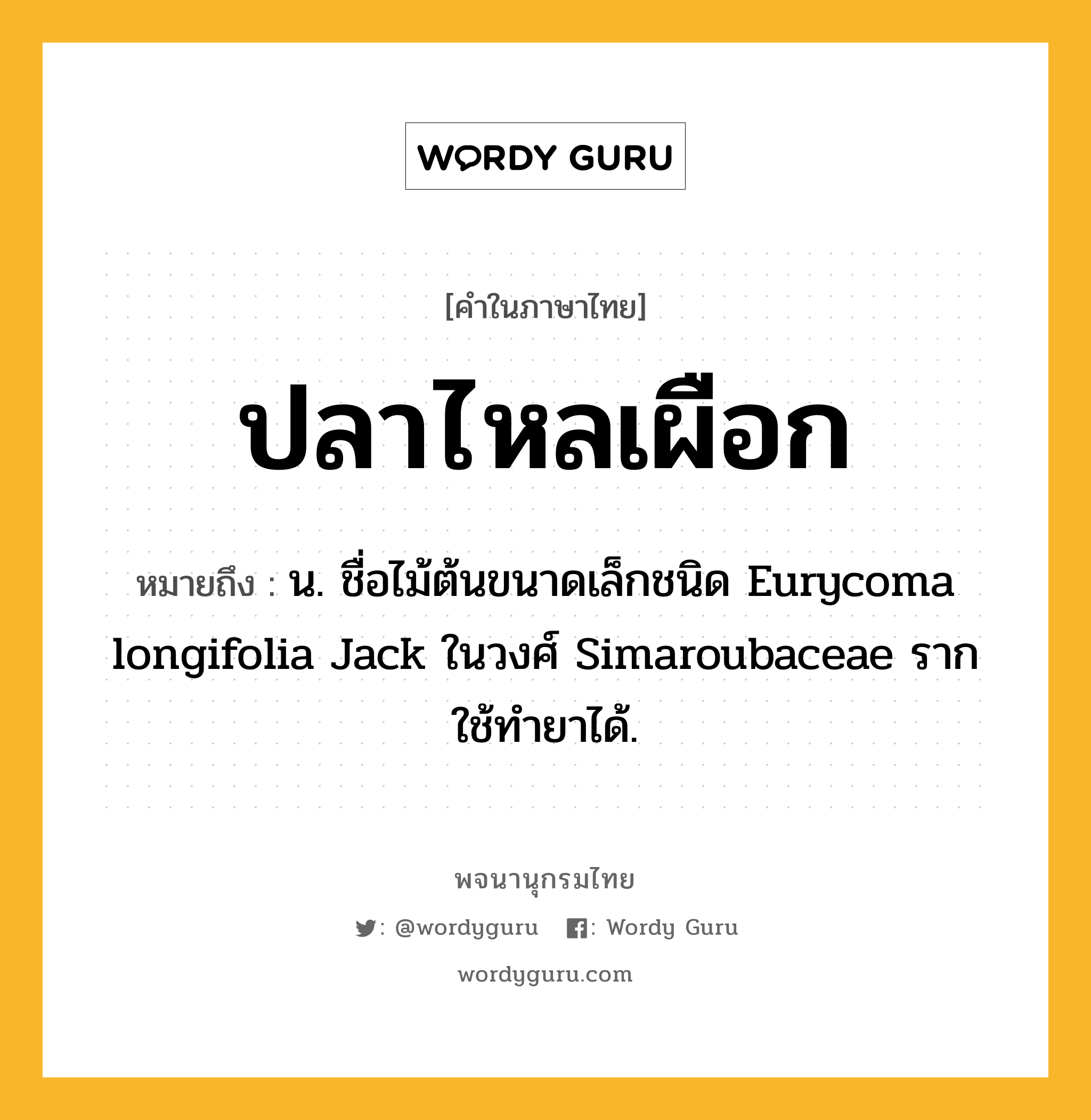 ปลาไหลเผือก หมายถึงอะไร?, คำในภาษาไทย ปลาไหลเผือก หมายถึง น. ชื่อไม้ต้นขนาดเล็กชนิด Eurycoma longifolia Jack ในวงศ์ Simaroubaceae รากใช้ทํายาได้.