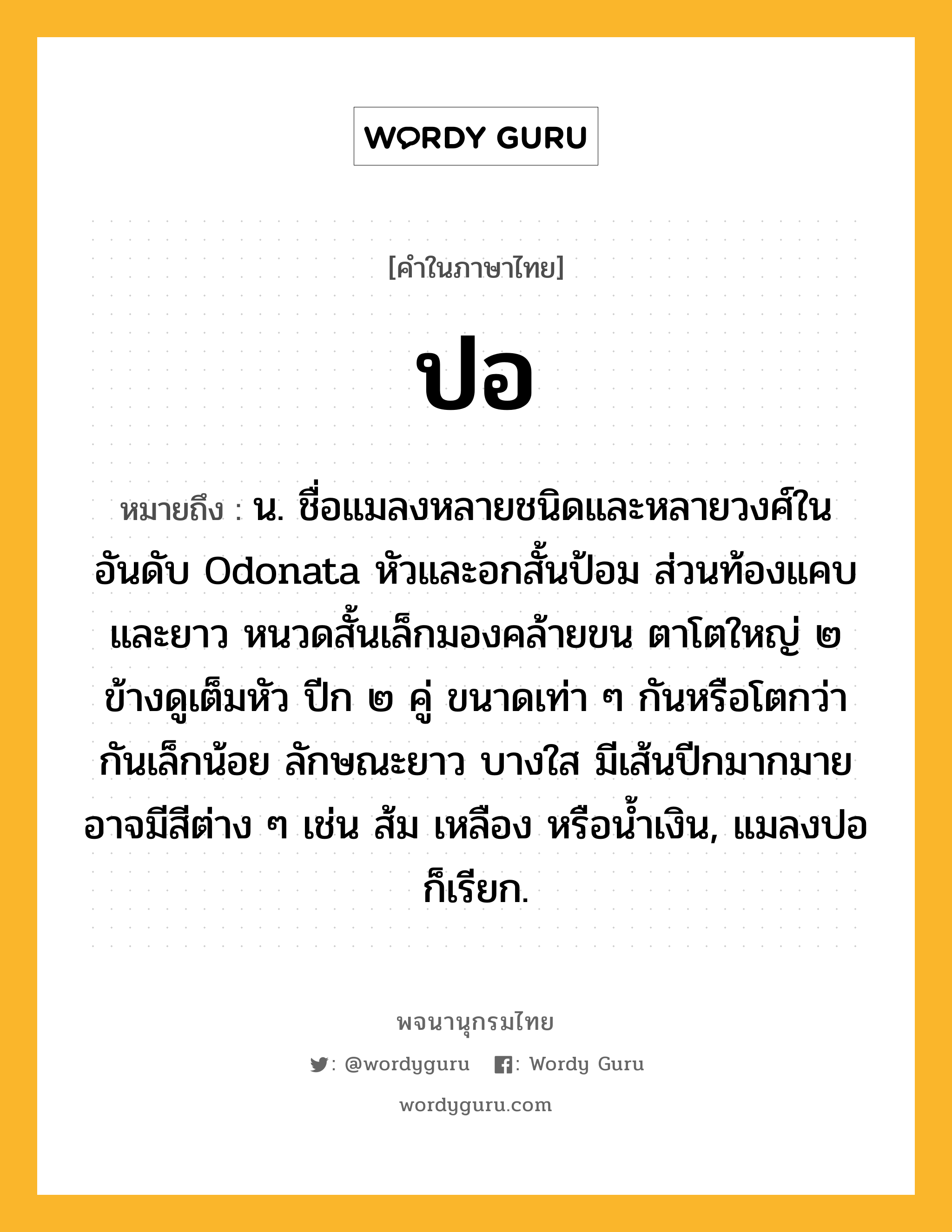 ปอ หมายถึงอะไร?, คำในภาษาไทย ปอ หมายถึง น. ชื่อแมลงหลายชนิดและหลายวงศ์ในอันดับ Odonata หัวและอกสั้นป้อม ส่วนท้องแคบและยาว หนวดสั้นเล็กมองคล้ายขน ตาโตใหญ่ ๒ ข้างดูเต็มหัว ปีก ๒ คู่ ขนาดเท่า ๆ กันหรือโตกว่ากันเล็กน้อย ลักษณะยาว บางใส มีเส้นปีกมากมาย อาจมีสีต่าง ๆ เช่น ส้ม เหลือง หรือนํ้าเงิน, แมลงปอ ก็เรียก.