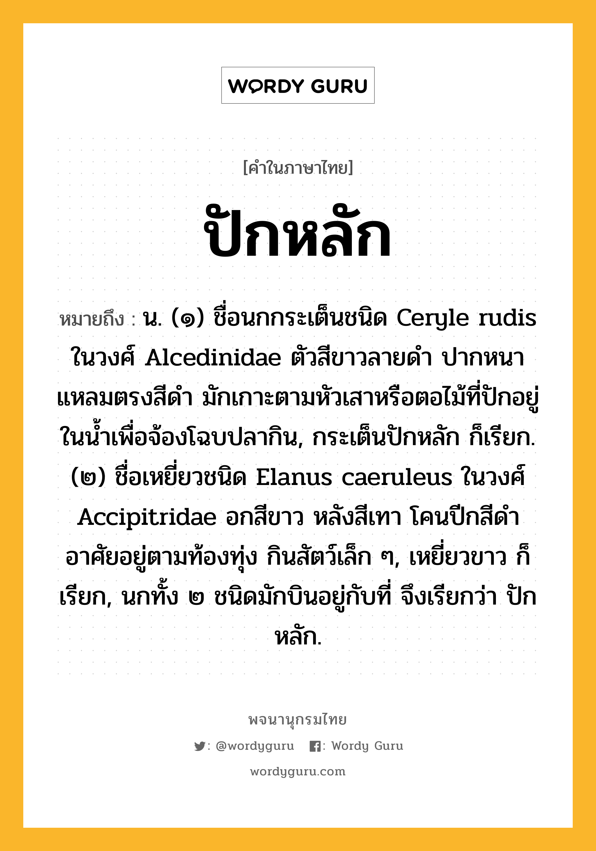 ปักหลัก ความหมาย หมายถึงอะไร?, คำในภาษาไทย ปักหลัก หมายถึง น. (๑) ชื่อนกกระเต็นชนิด Ceryle rudis ในวงศ์ Alcedinidae ตัวสีขาวลายดํา ปากหนาแหลมตรงสีดํา มักเกาะตามหัวเสาหรือตอไม้ที่ปักอยู่ในนํ้าเพื่อจ้องโฉบปลากิน, กระเต็นปักหลัก ก็เรียก. (๒) ชื่อเหยี่ยวชนิด Elanus caeruleus ในวงศ์ Accipitridae อกสีขาว หลังสีเทา โคนปีกสีดํา อาศัยอยู่ตามท้องทุ่ง กินสัตว์เล็ก ๆ, เหยี่ยวขาว ก็เรียก, นกทั้ง ๒ ชนิดมักบินอยู่กับที่ จึงเรียกว่า ปักหลัก.