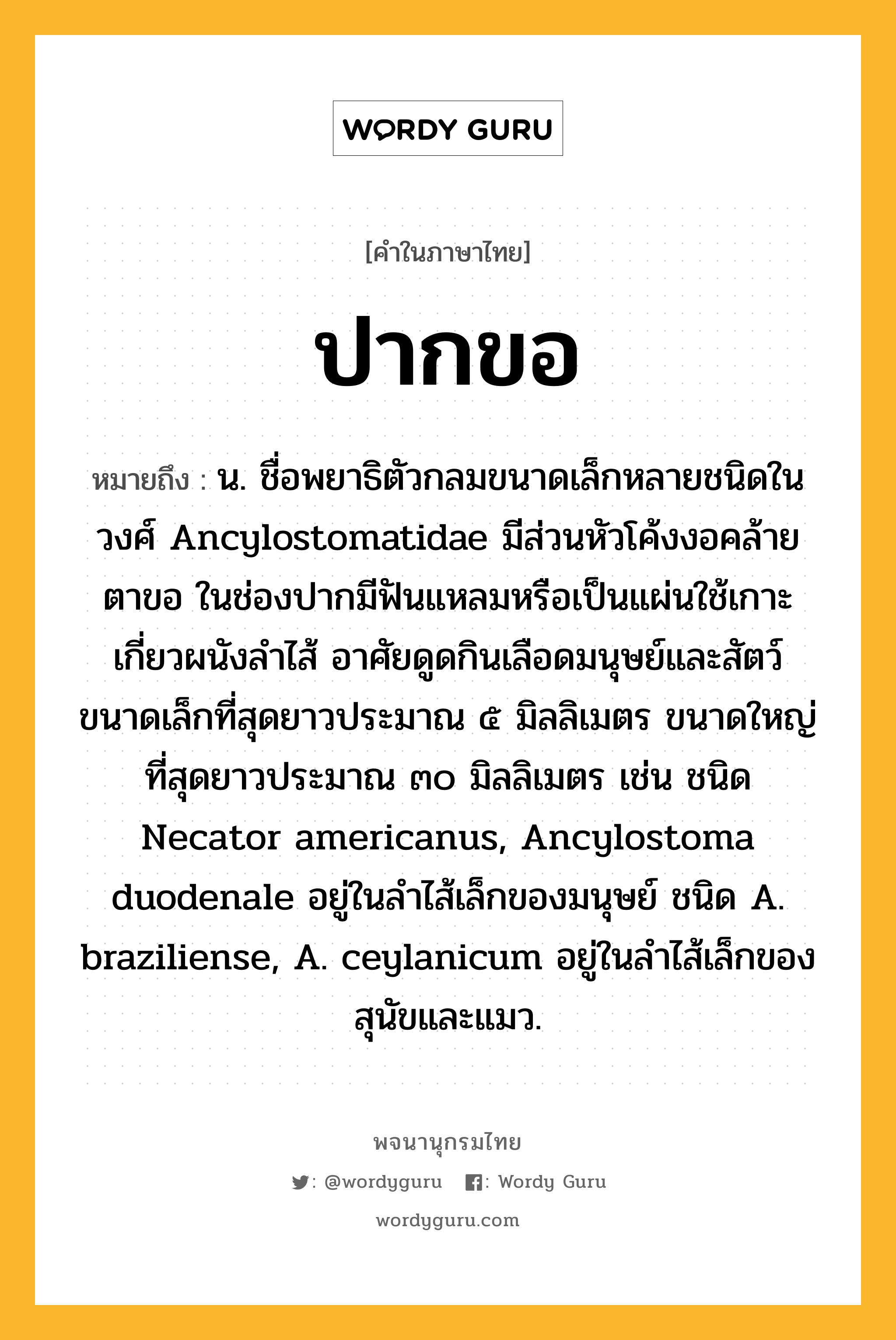 ปากขอ หมายถึงอะไร?, คำในภาษาไทย ปากขอ หมายถึง น. ชื่อพยาธิตัวกลมขนาดเล็กหลายชนิดในวงศ์ Ancylostomatidae มีส่วนหัวโค้งงอคล้ายตาขอ ในช่องปากมีฟันแหลมหรือเป็นแผ่นใช้เกาะเกี่ยวผนังลำไส้ อาศัยดูดกินเลือดมนุษย์และสัตว์ ขนาดเล็กที่สุดยาวประมาณ ๕ มิลลิเมตร ขนาดใหญ่ที่สุดยาวประมาณ ๓๐ มิลลิเมตร เช่น ชนิด Necator americanus, Ancylostoma duodenale อยู่ในลำไส้เล็กของมนุษย์ ชนิด A. braziliense, A. ceylanicum อยู่ในลำไส้เล็กของสุนัขและแมว.