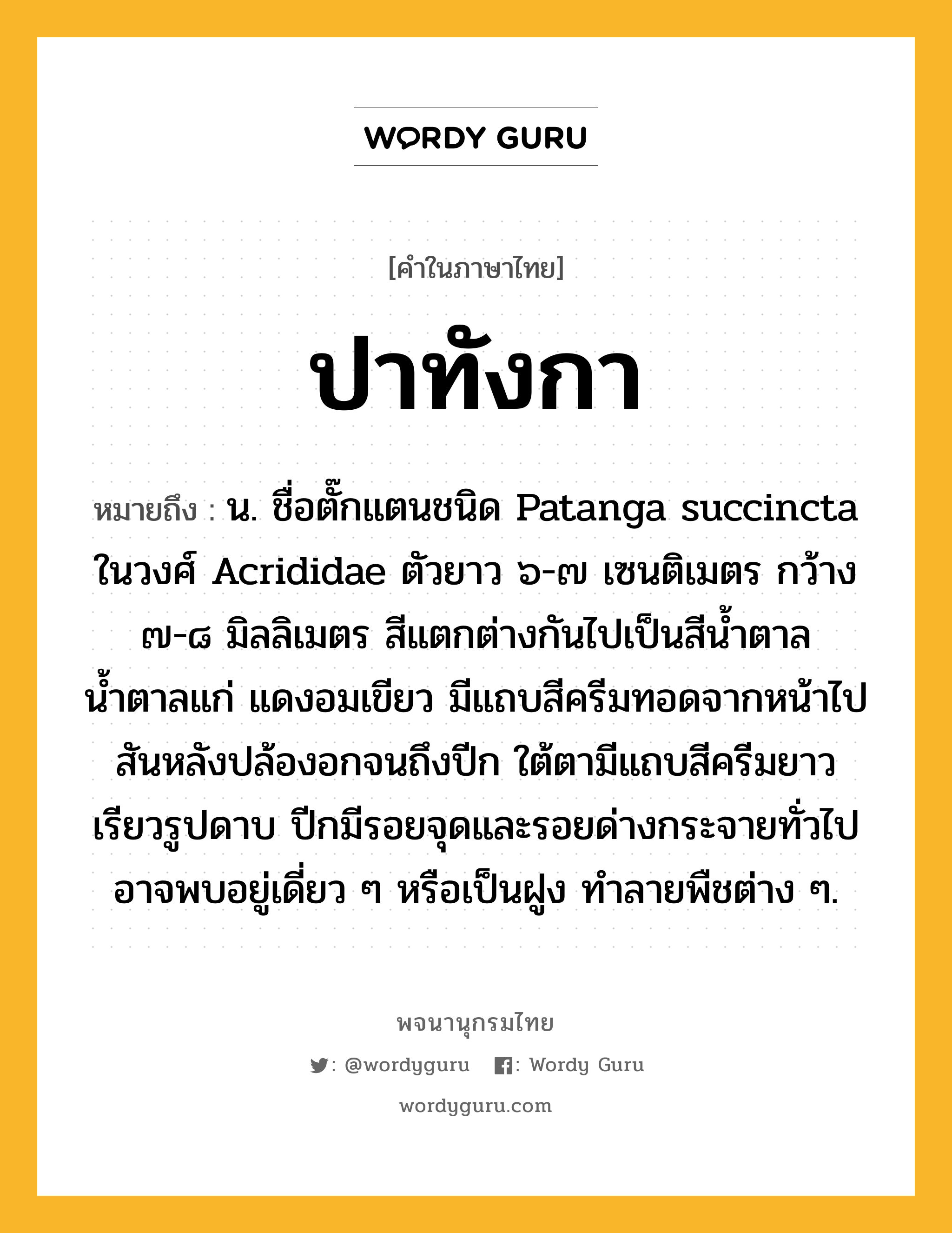 ปาทังกา หมายถึงอะไร?, คำในภาษาไทย ปาทังกา หมายถึง น. ชื่อตั๊กแตนชนิด Patanga succincta ในวงศ์ Acrididae ตัวยาว ๖-๗ เซนติเมตร กว้าง ๗-๘ มิลลิเมตร สีแตกต่างกันไปเป็นสีนํ้าตาล น้ำตาลแก่ แดงอมเขียว มีแถบสีครีมทอดจากหน้าไปสันหลังปล้องอกจนถึงปีก ใต้ตามีแถบสีครีมยาวเรียวรูปดาบ ปีกมีรอยจุดและรอยด่างกระจายทั่วไป อาจพบอยู่เดี่ยว ๆ หรือเป็นฝูง ทําลายพืชต่าง ๆ.