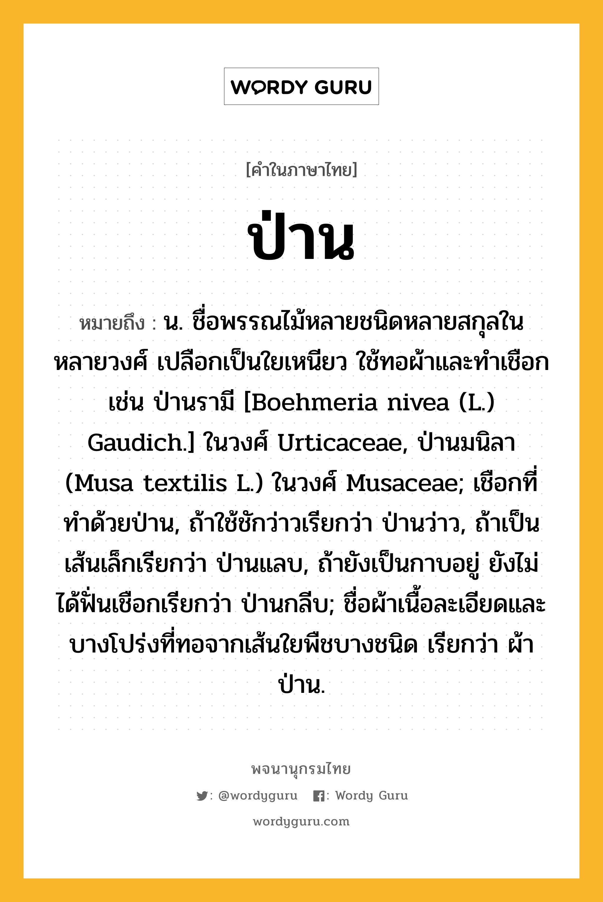 ป่าน หมายถึงอะไร?, คำในภาษาไทย ป่าน หมายถึง น. ชื่อพรรณไม้หลายชนิดหลายสกุลในหลายวงศ์ เปลือกเป็นใยเหนียว ใช้ทอผ้าและทําเชือก เช่น ป่านรามี [Boehmeria nivea (L.) Gaudich.] ในวงศ์ Urticaceae, ป่านมนิลา (Musa textilis L.) ในวงศ์ Musaceae; เชือกที่ทําด้วยป่าน, ถ้าใช้ชักว่าวเรียกว่า ป่านว่าว, ถ้าเป็นเส้นเล็กเรียกว่า ป่านแลบ, ถ้ายังเป็นกาบอยู่ ยังไม่ได้ฟั่นเชือกเรียกว่า ป่านกลีบ; ชื่อผ้าเนื้อละเอียดและบางโปร่งที่ทอจากเส้นใยพืชบางชนิด เรียกว่า ผ้าป่าน.