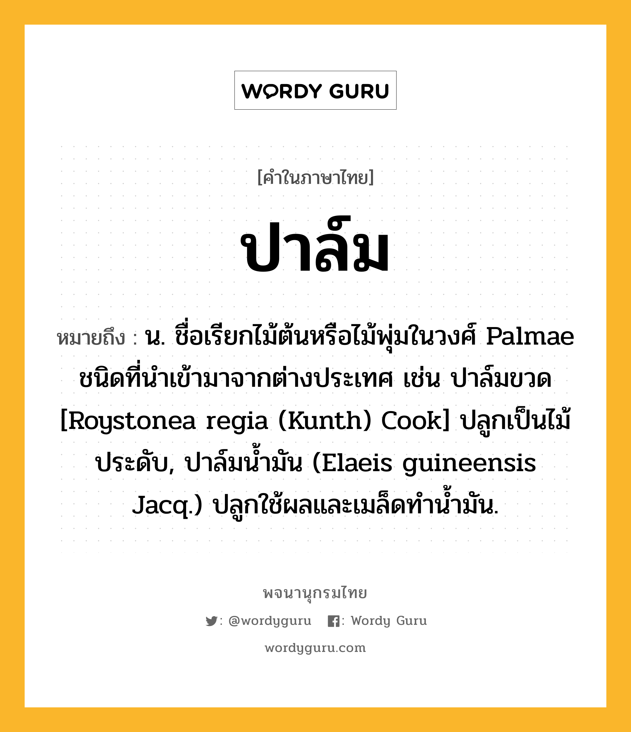 ปาล์ม หมายถึงอะไร?, คำในภาษาไทย ปาล์ม หมายถึง น. ชื่อเรียกไม้ต้นหรือไม้พุ่มในวงศ์ Palmae ชนิดที่นําเข้ามาจากต่างประเทศ เช่น ปาล์มขวด [Roystonea regia (Kunth) Cook] ปลูกเป็นไม้ประดับ, ปาล์มนํ้ามัน (Elaeis guineensis Jacq.) ปลูกใช้ผลและเมล็ดทํานํ้ามัน.