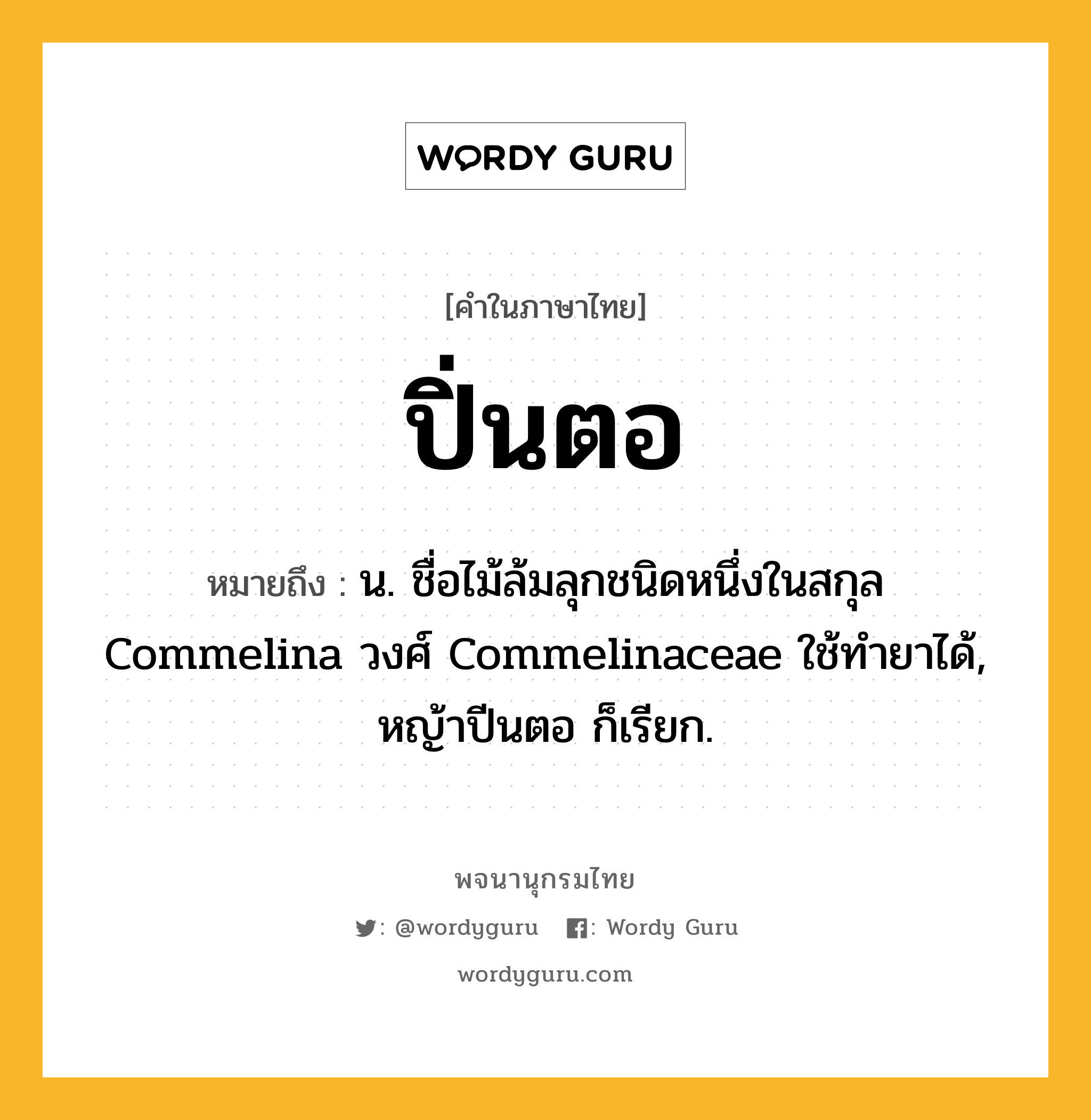 ปิ่นตอ ความหมาย หมายถึงอะไร?, คำในภาษาไทย ปิ่นตอ หมายถึง น. ชื่อไม้ล้มลุกชนิดหนึ่งในสกุล Commelina วงศ์ Commelinaceae ใช้ทํายาได้, หญ้าปีนตอ ก็เรียก.