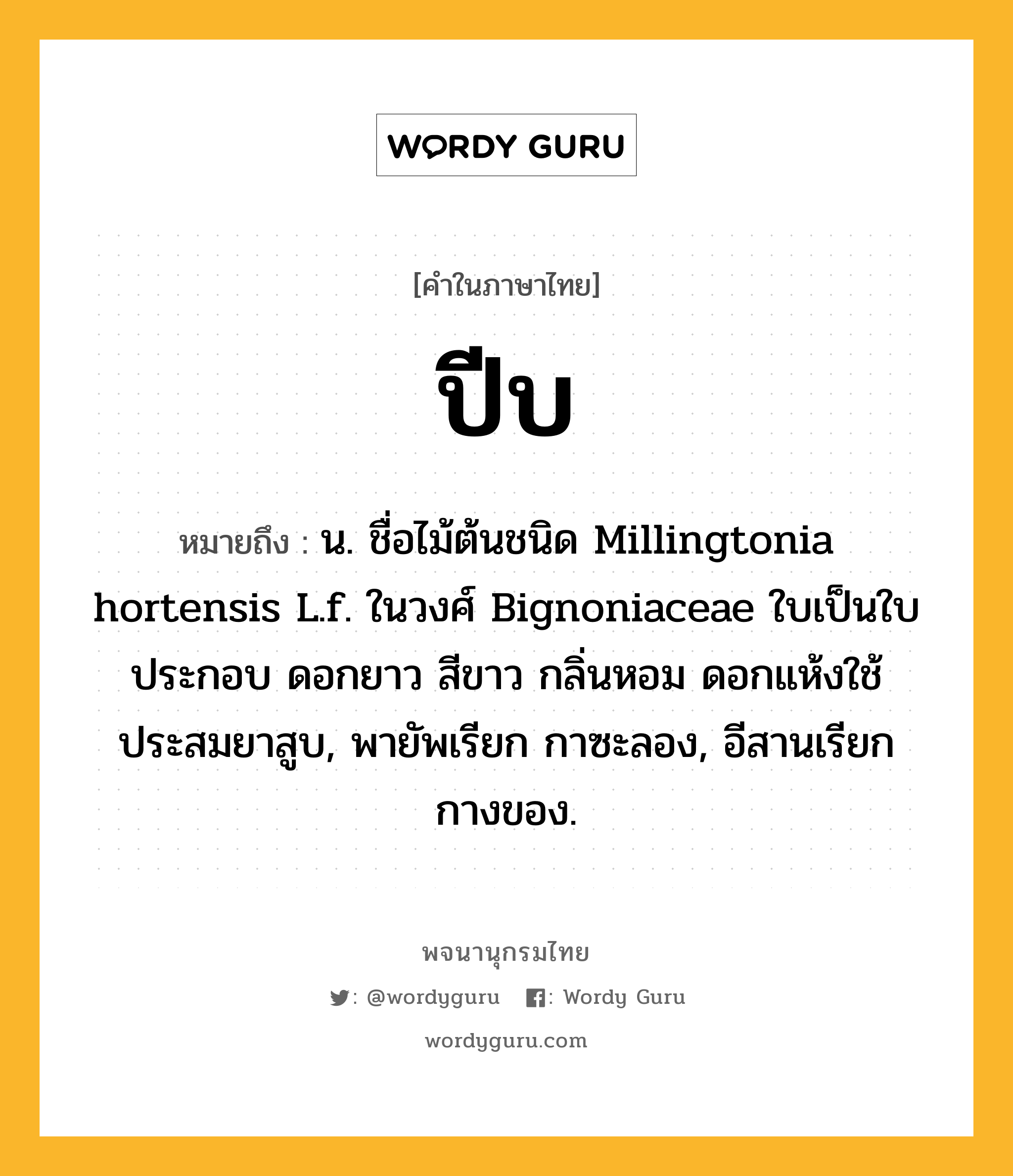 ปีบ ความหมาย หมายถึงอะไร?, คำในภาษาไทย ปีบ หมายถึง น. ชื่อไม้ต้นชนิด Millingtonia hortensis L.f. ในวงศ์ Bignoniaceae ใบเป็นใบประกอบ ดอกยาว สีขาว กลิ่นหอม ดอกแห้งใช้ประสมยาสูบ, พายัพเรียก กาซะลอง, อีสานเรียก กางของ.