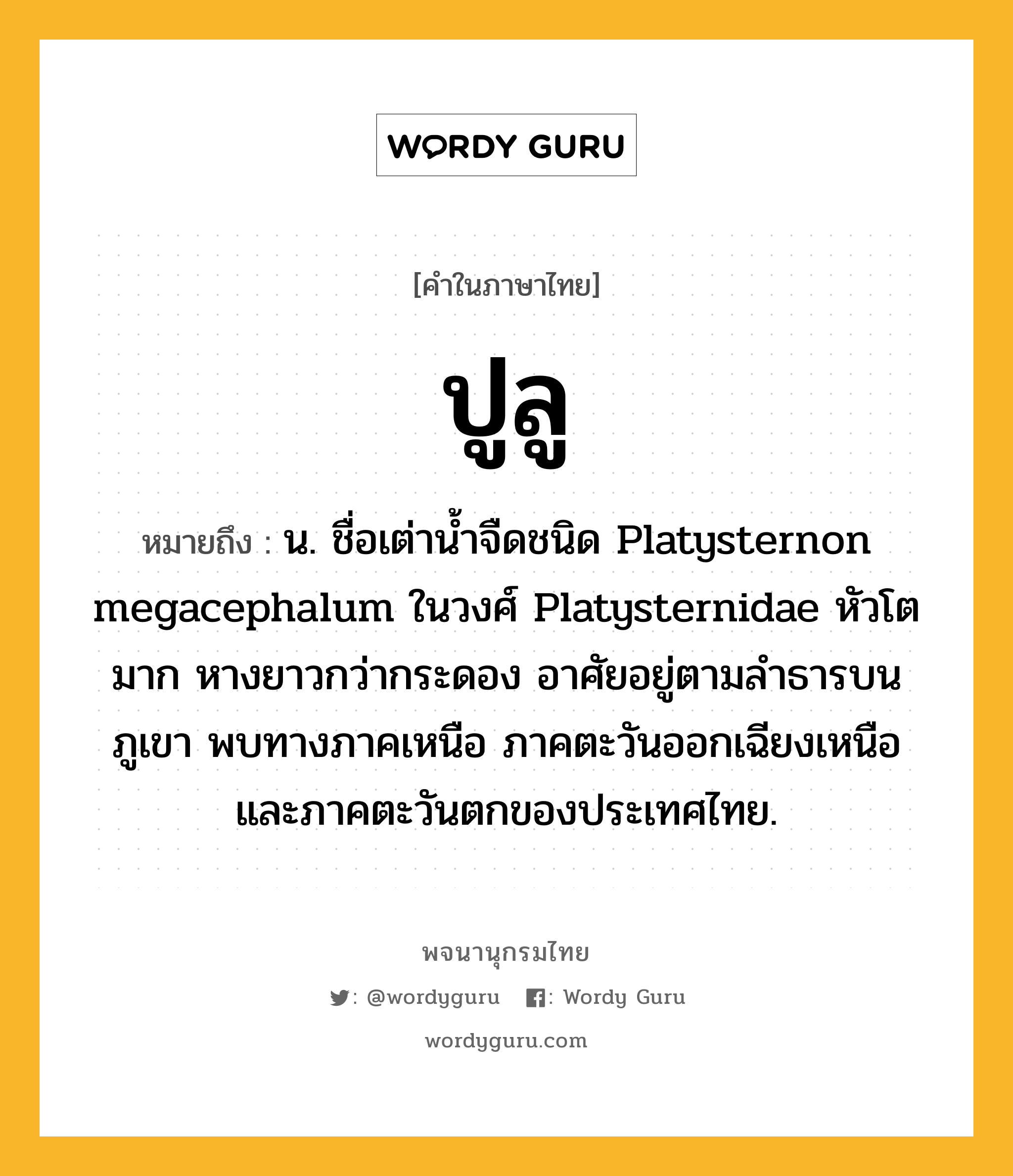 ปูลู หมายถึงอะไร?, คำในภาษาไทย ปูลู หมายถึง น. ชื่อเต่านํ้าจืดชนิด Platysternon megacephalum ในวงศ์ Platysternidae หัวโตมาก หางยาวกว่ากระดอง อาศัยอยู่ตามลําธารบนภูเขา พบทางภาคเหนือ ภาคตะวันออกเฉียงเหนือ และภาคตะวันตกของประเทศไทย.