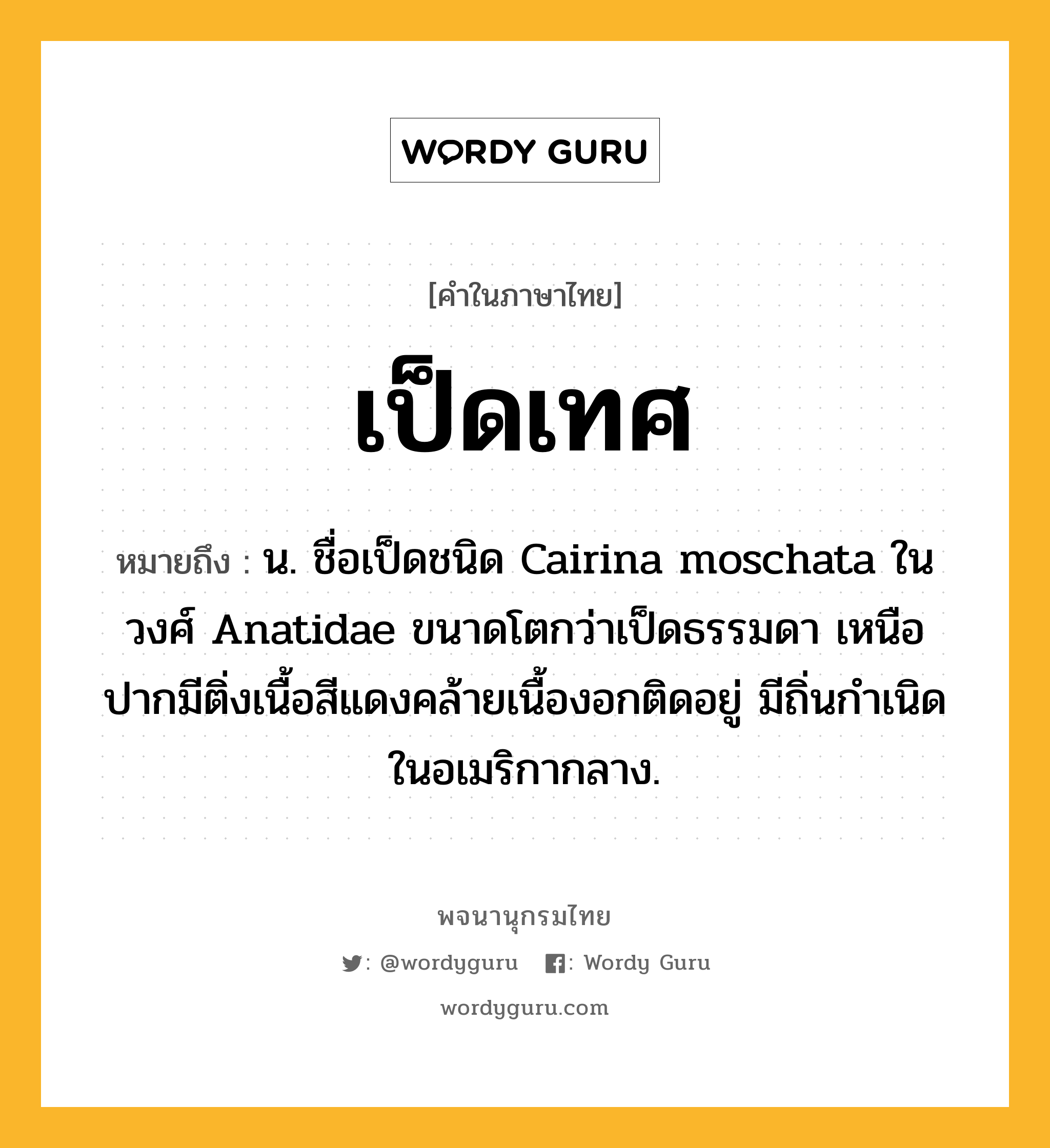 เป็ดเทศ ความหมาย หมายถึงอะไร?, คำในภาษาไทย เป็ดเทศ หมายถึง น. ชื่อเป็ดชนิด Cairina moschata ในวงศ์ Anatidae ขนาดโตกว่าเป็ดธรรมดา เหนือปากมีติ่งเนื้อสีแดงคล้ายเนื้องอกติดอยู่ มีถิ่นกําเนิดในอเมริกากลาง.