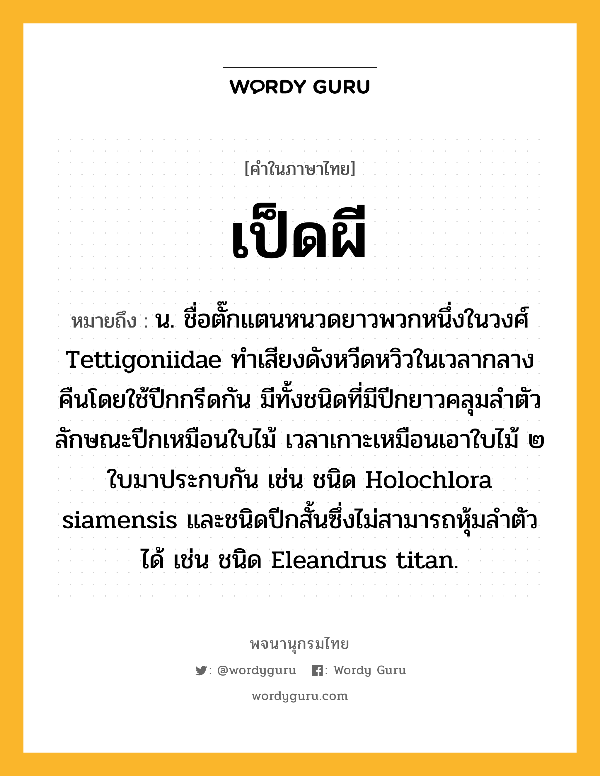 เป็ดผี หมายถึงอะไร?, คำในภาษาไทย เป็ดผี หมายถึง น. ชื่อตั๊กแตนหนวดยาวพวกหนึ่งในวงศ์ Tettigoniidae ทําเสียงดังหวีดหวิวในเวลากลางคืนโดยใช้ปีกกรีดกัน มีทั้งชนิดที่มีปีกยาวคลุมลําตัว ลักษณะปีกเหมือนใบไม้ เวลาเกาะเหมือนเอาใบไม้ ๒ ใบมาประกบกัน เช่น ชนิด Holochlora siamensis และชนิดปีกสั้นซึ่งไม่สามารถหุ้มลําตัวได้ เช่น ชนิด Eleandrus titan.