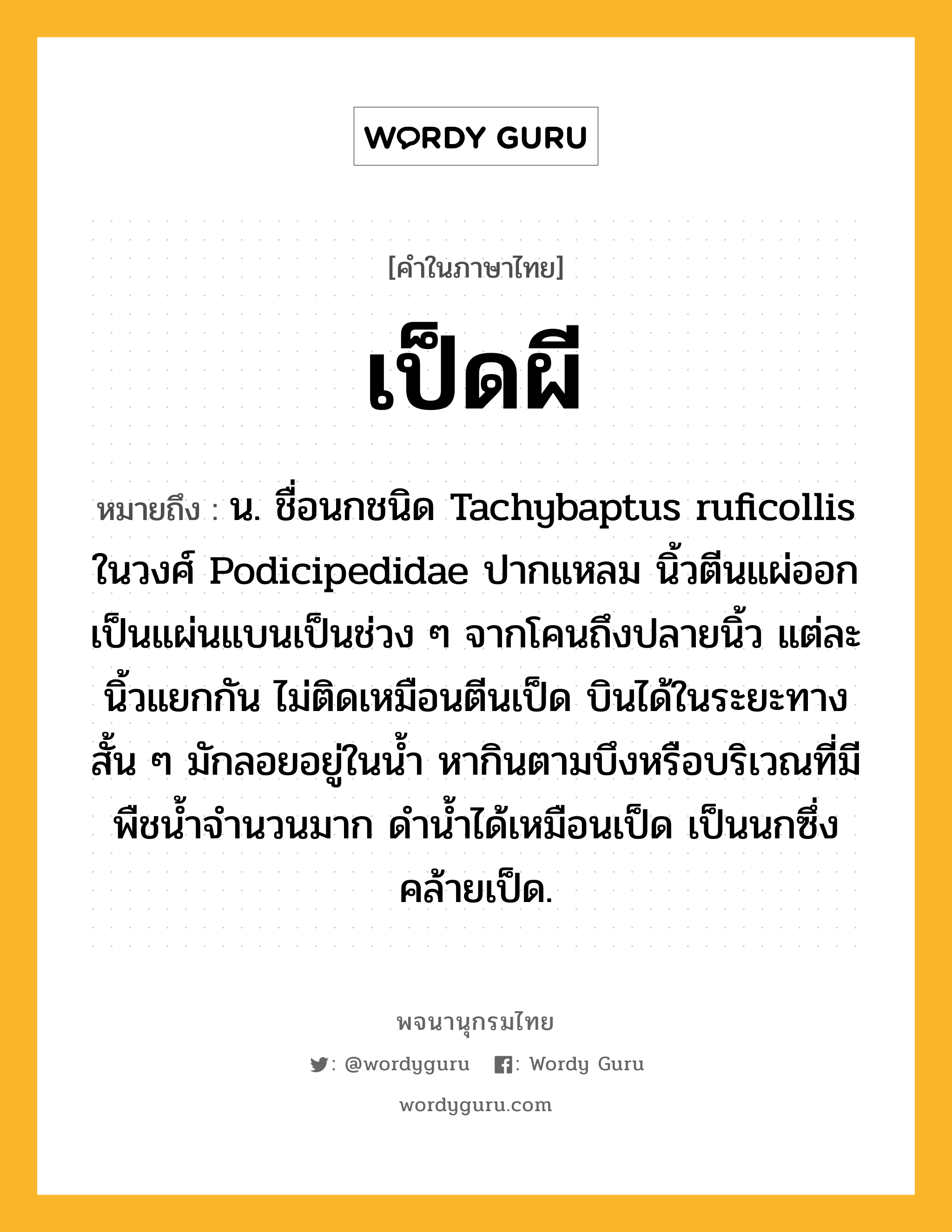 เป็ดผี หมายถึงอะไร?, คำในภาษาไทย เป็ดผี หมายถึง น. ชื่อนกชนิด Tachybaptus ruficollis ในวงศ์ Podicipedidae ปากแหลม นิ้วตีนแผ่ออกเป็นแผ่นแบนเป็นช่วง ๆ จากโคนถึงปลายนิ้ว แต่ละนิ้วแยกกัน ไม่ติดเหมือนตีนเป็ด บินได้ในระยะทางสั้น ๆ มักลอยอยู่ในนํ้า หากินตามบึงหรือบริเวณที่มีพืชนํ้าจํานวนมาก ดํานํ้าได้เหมือนเป็ด เป็นนกซึ่งคล้ายเป็ด.