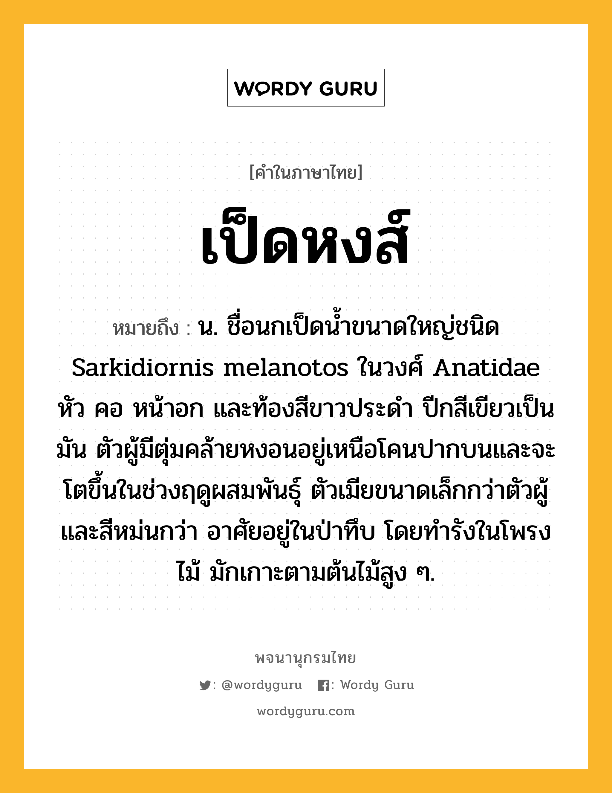 เป็ดหงส์ หมายถึงอะไร?, คำในภาษาไทย เป็ดหงส์ หมายถึง น. ชื่อนกเป็ดนํ้าขนาดใหญ่ชนิด Sarkidiornis melanotos ในวงศ์ Anatidae หัว คอ หน้าอก และท้องสีขาวประดํา ปีกสีเขียวเป็นมัน ตัวผู้มีตุ่มคล้ายหงอนอยู่เหนือโคนปากบนและจะโตขึ้นในช่วงฤดูผสมพันธุ์ ตัวเมียขนาดเล็กกว่าตัวผู้และสีหม่นกว่า อาศัยอยู่ในป่าทึบ โดยทํารังในโพรงไม้ มักเกาะตามต้นไม้สูง ๆ.