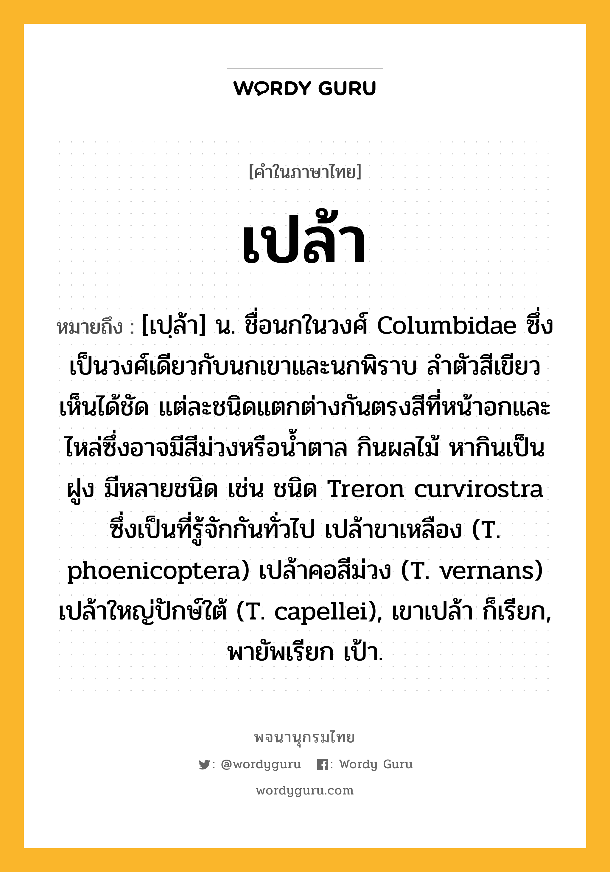 เปล้า หมายถึงอะไร?, คำในภาษาไทย เปล้า หมายถึง [เปฺล้า] น. ชื่อนกในวงศ์ Columbidae ซึ่งเป็นวงศ์เดียวกับนกเขาและนกพิราบ ลําตัวสีเขียวเห็นได้ชัด แต่ละชนิดแตกต่างกันตรงสีที่หน้าอกและไหล่ซึ่งอาจมีสีม่วงหรือนํ้าตาล กินผลไม้ หากินเป็นฝูง มีหลายชนิด เช่น ชนิด Treron curvirostra ซึ่งเป็นที่รู้จักกันทั่วไป เปล้าขาเหลือง (T. phoenicoptera) เปล้าคอสีม่วง (T. vernans) เปล้าใหญ่ปักษ์ใต้ (T. capellei), เขาเปล้า ก็เรียก, พายัพเรียก เป้า.