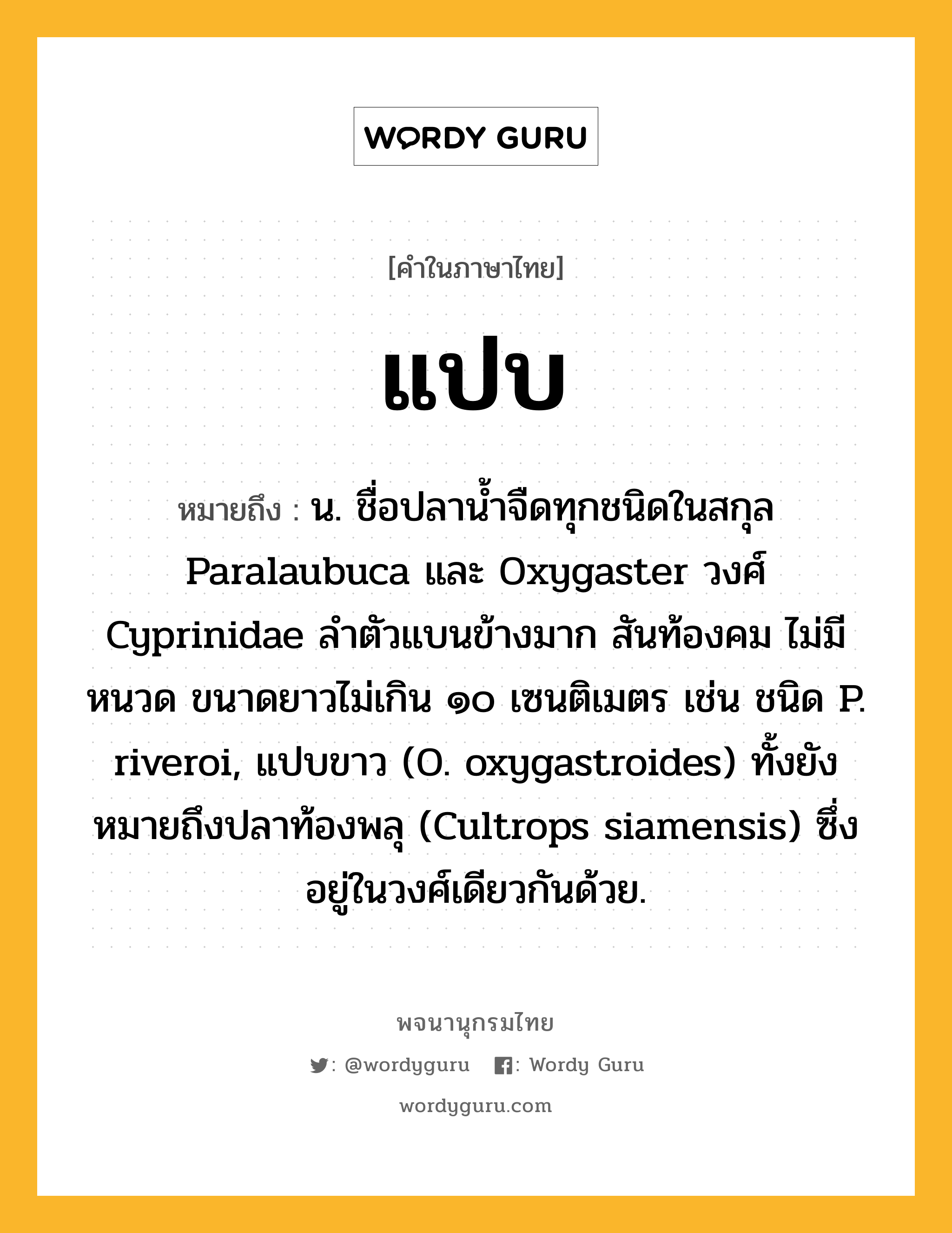 แปบ ความหมาย หมายถึงอะไร?, คำในภาษาไทย แปบ หมายถึง น. ชื่อปลานํ้าจืดทุกชนิดในสกุล Paralaubuca และ Oxygaster วงศ์ Cyprinidae ลําตัวแบนข้างมาก สันท้องคม ไม่มีหนวด ขนาดยาวไม่เกิน ๑๐ เซนติเมตร เช่น ชนิด P. riveroi, แปบขาว (O. oxygastroides) ทั้งยังหมายถึงปลาท้องพลุ (Cultrops siamensis) ซึ่งอยู่ในวงศ์เดียวกันด้วย.