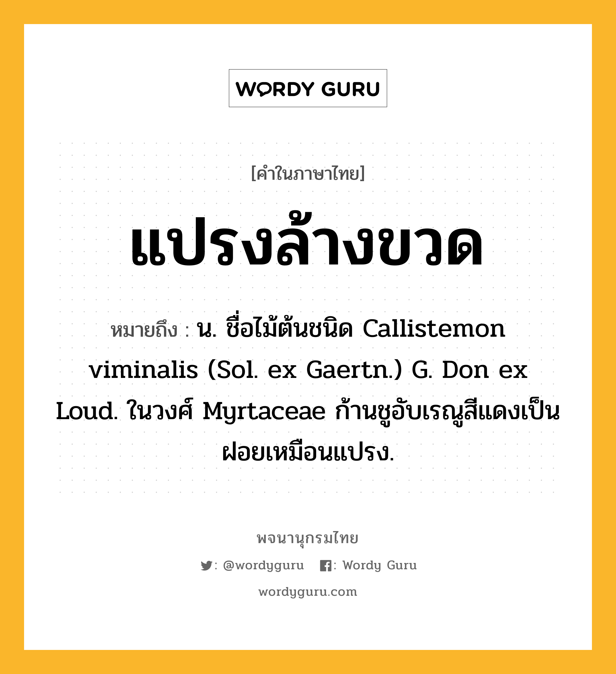 แปรงล้างขวด หมายถึงอะไร?, คำในภาษาไทย แปรงล้างขวด หมายถึง น. ชื่อไม้ต้นชนิด Callistemon viminalis (Sol. ex Gaertn.) G. Don ex Loud. ในวงศ์ Myrtaceae ก้านชูอับเรณูสีแดงเป็นฝอยเหมือนแปรง.