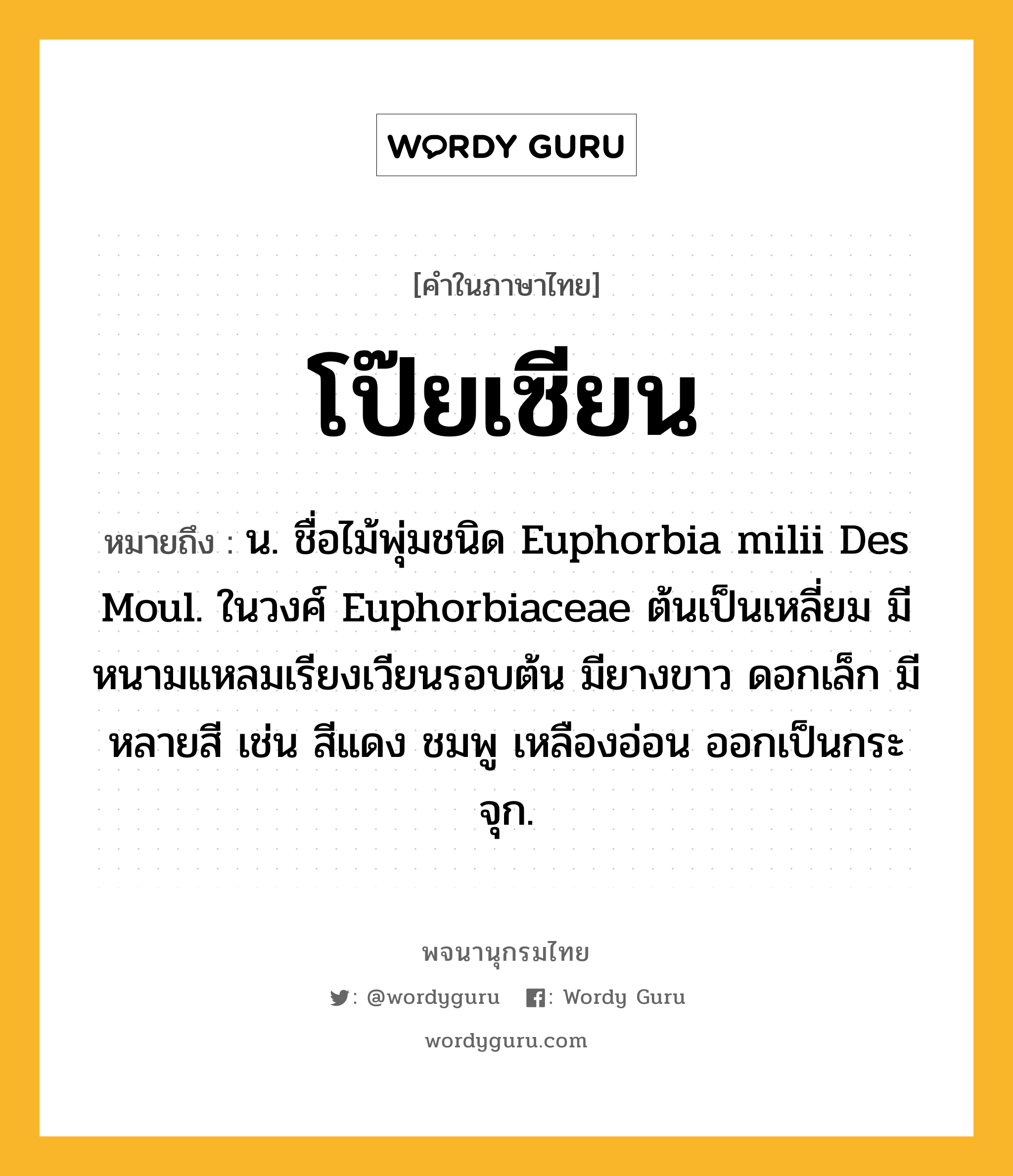 โป๊ยเซียน หมายถึงอะไร?, คำในภาษาไทย โป๊ยเซียน หมายถึง น. ชื่อไม้พุ่มชนิด Euphorbia milii Des Moul. ในวงศ์ Euphorbiaceae ต้นเป็นเหลี่ยม มีหนามแหลมเรียงเวียนรอบต้น มียางขาว ดอกเล็ก มีหลายสี เช่น สีแดง ชมพู เหลืองอ่อน ออกเป็นกระจุก.