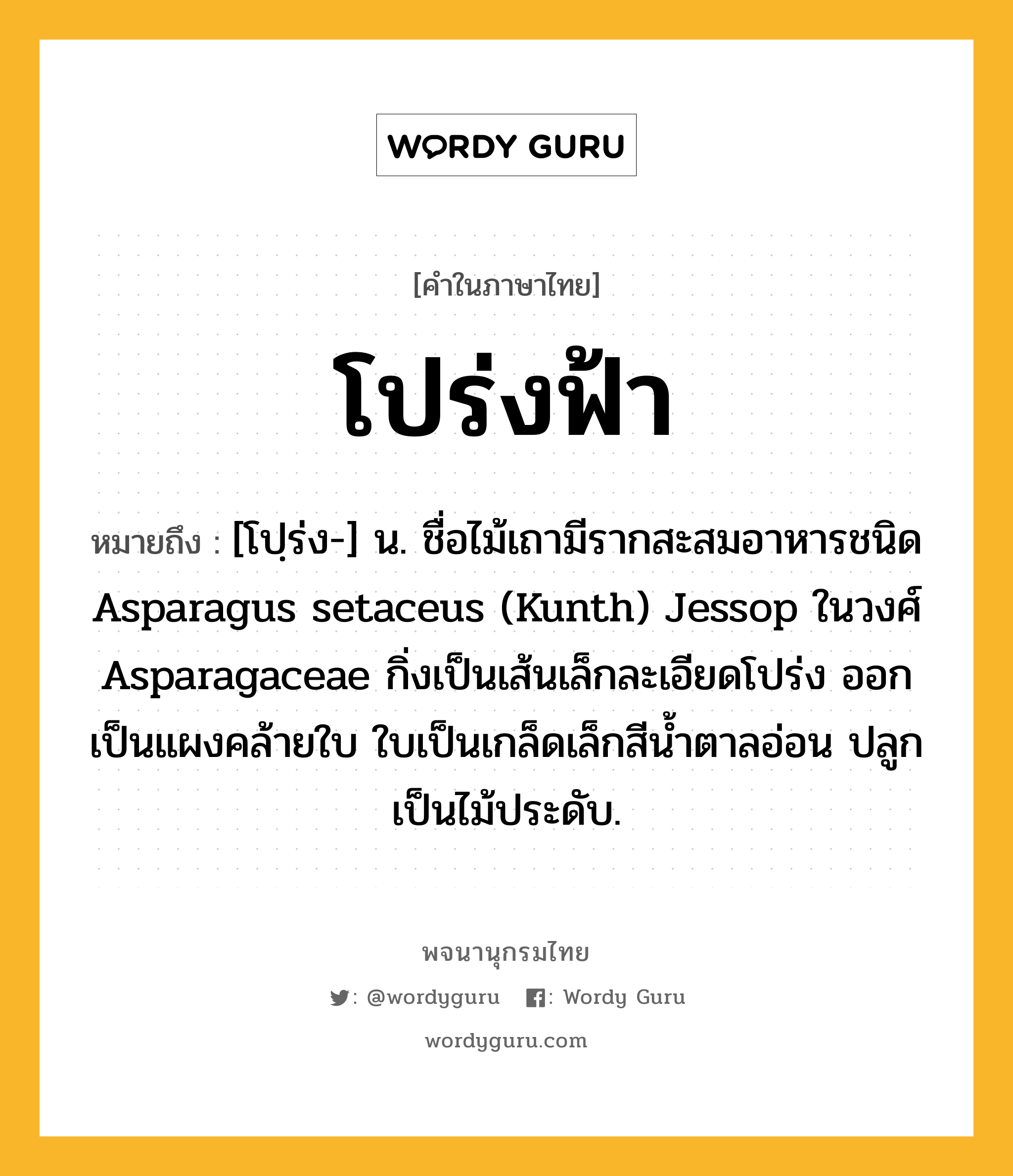 โปร่งฟ้า ความหมาย หมายถึงอะไร?, คำในภาษาไทย โปร่งฟ้า หมายถึง [โปฺร่ง-] น. ชื่อไม้เถามีรากสะสมอาหารชนิด Asparagus setaceus (Kunth) Jessop ในวงศ์ Asparagaceae กิ่งเป็นเส้นเล็กละเอียดโปร่ง ออกเป็นแผงคล้ายใบ ใบเป็นเกล็ดเล็กสีน้ำตาลอ่อน ปลูกเป็นไม้ประดับ.