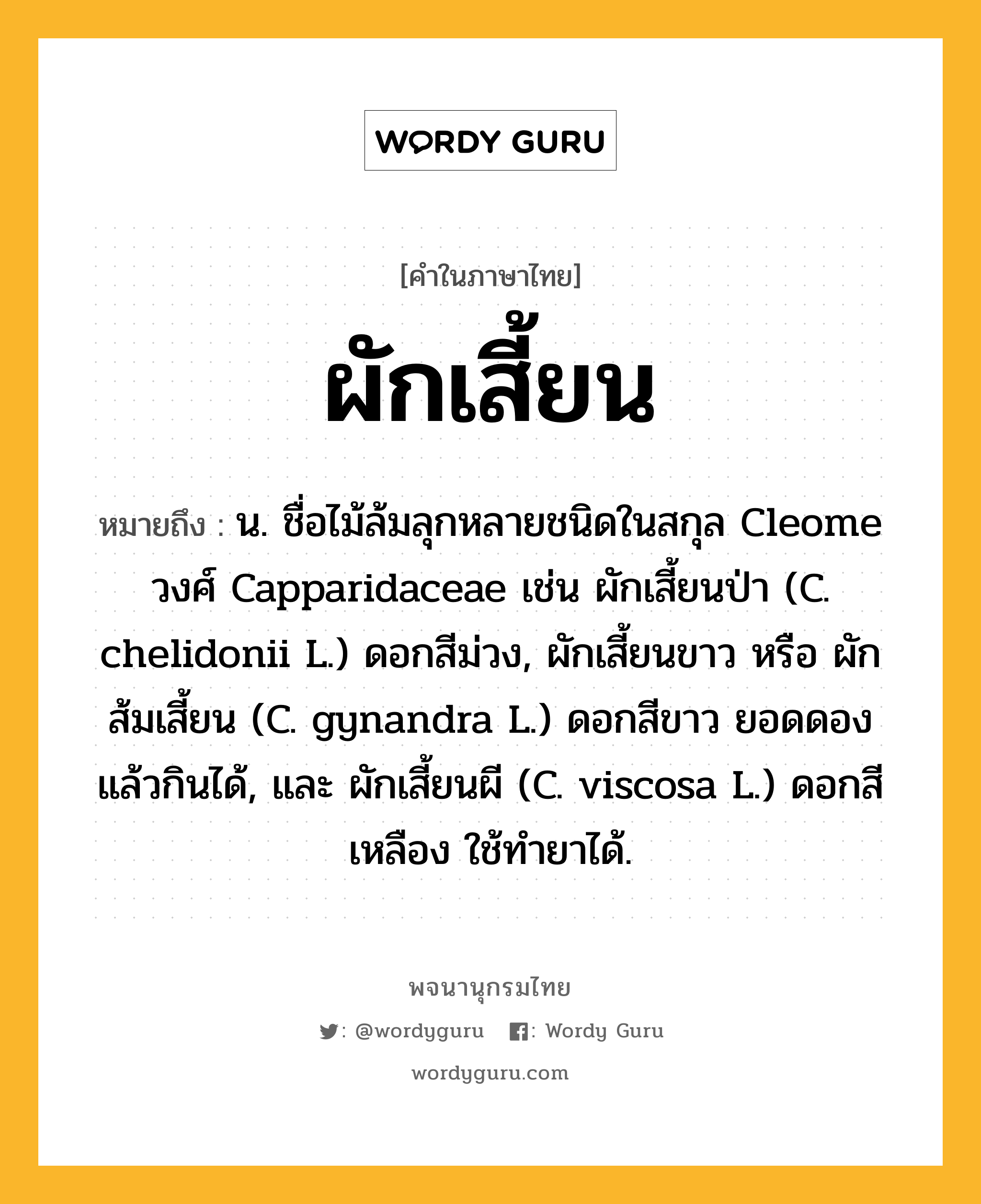 ผักเสี้ยน หมายถึงอะไร?, คำในภาษาไทย ผักเสี้ยน หมายถึง น. ชื่อไม้ล้มลุกหลายชนิดในสกุล Cleome วงศ์ Capparidaceae เช่น ผักเสี้ยนป่า (C. chelidonii L.) ดอกสีม่วง, ผักเสี้ยนขาว หรือ ผักส้มเสี้ยน (C. gynandra L.) ดอกสีขาว ยอดดองแล้วกินได้, และ ผักเสี้ยนผี (C. viscosa L.) ดอกสีเหลือง ใช้ทํายาได้.