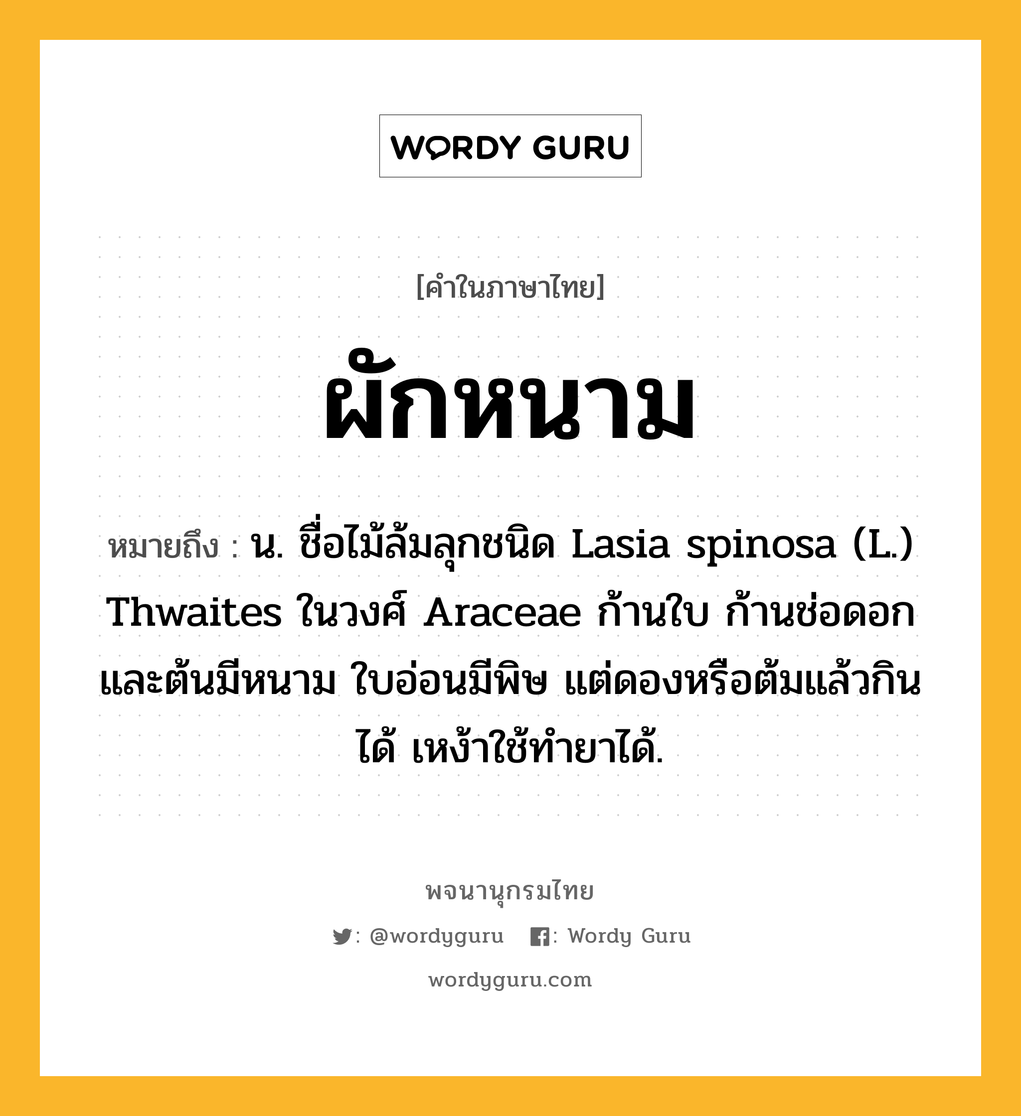 ผักหนาม ความหมาย หมายถึงอะไร?, คำในภาษาไทย ผักหนาม หมายถึง น. ชื่อไม้ล้มลุกชนิด Lasia spinosa (L.) Thwaites ในวงศ์ Araceae ก้านใบ ก้านช่อดอก และต้นมีหนาม ใบอ่อนมีพิษ แต่ดองหรือต้มแล้วกินได้ เหง้าใช้ทํายาได้.