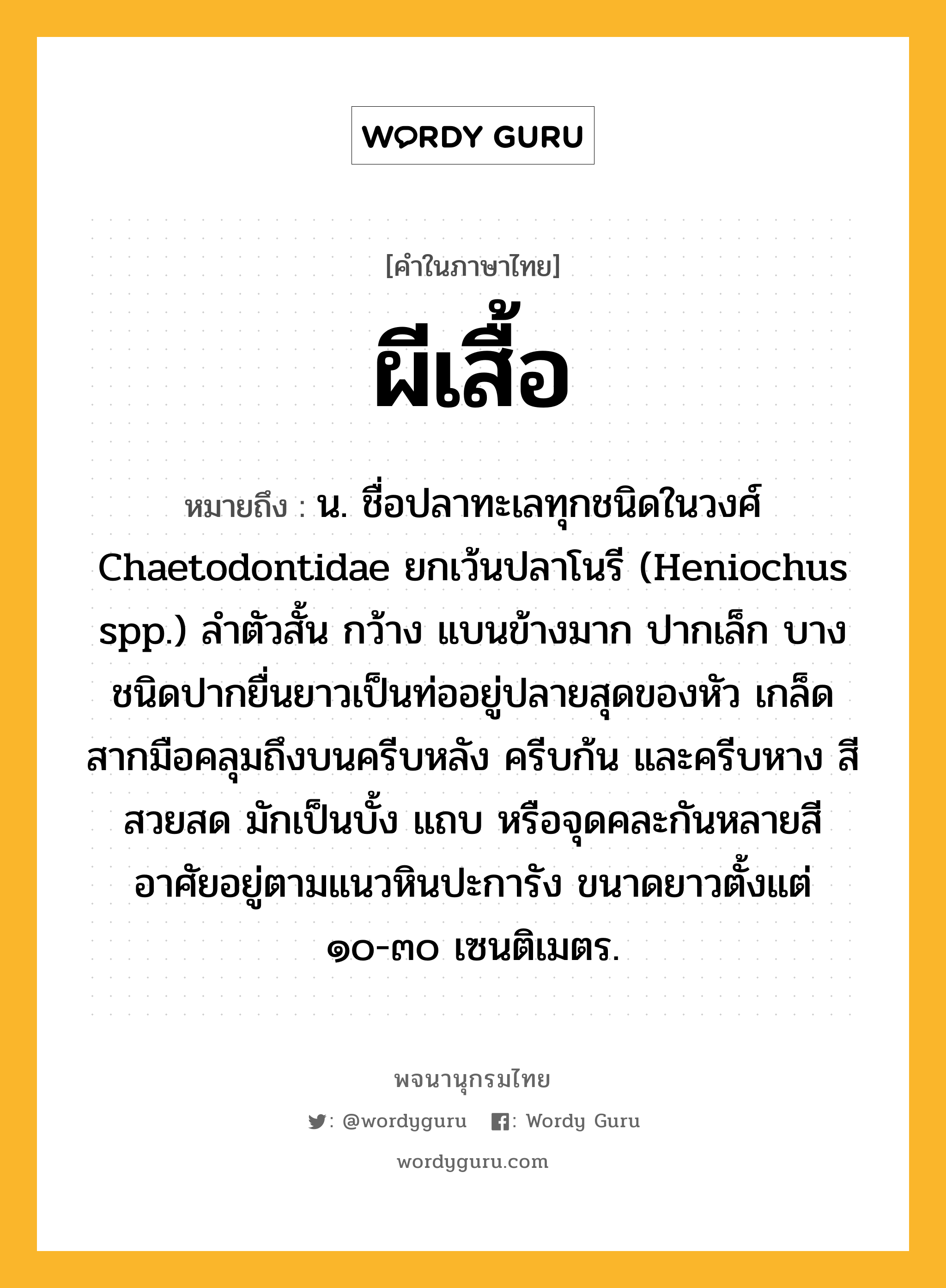 ผีเสื้อ หมายถึงอะไร?, คำในภาษาไทย ผีเสื้อ หมายถึง น. ชื่อปลาทะเลทุกชนิดในวงศ์ Chaetodontidae ยกเว้นปลาโนรี (Heniochus spp.) ลําตัวสั้น กว้าง แบนข้างมาก ปากเล็ก บางชนิดปากยื่นยาวเป็นท่ออยู่ปลายสุดของหัว เกล็ดสากมือคลุมถึงบนครีบหลัง ครีบก้น และครีบหาง สีสวยสด มักเป็นบั้ง แถบ หรือจุดคละกันหลายสี อาศัยอยู่ตามแนวหินปะการัง ขนาดยาวตั้งแต่ ๑๐-๓๐ เซนติเมตร.