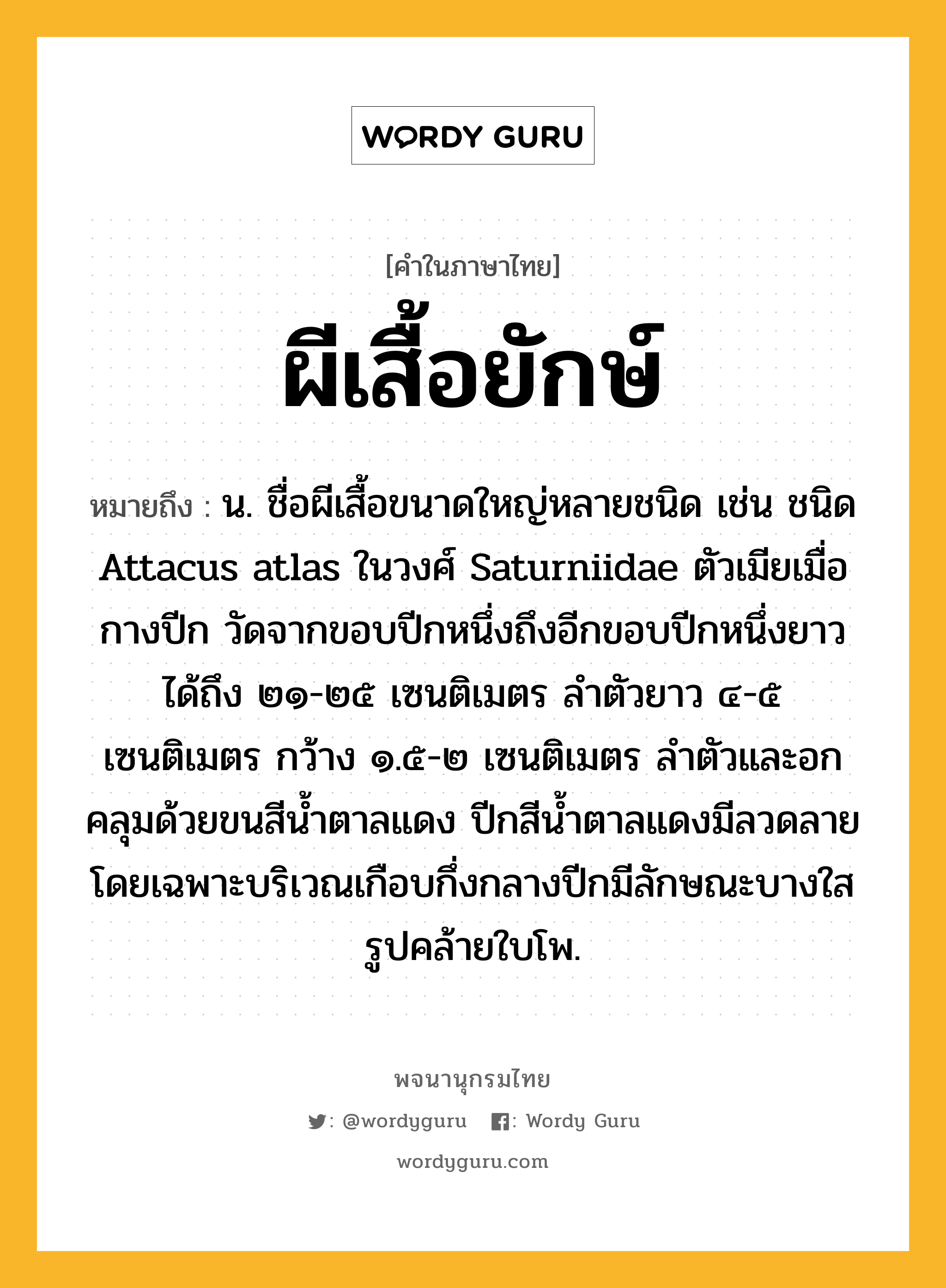 ผีเสื้อยักษ์ หมายถึงอะไร?, คำในภาษาไทย ผีเสื้อยักษ์ หมายถึง น. ชื่อผีเสื้อขนาดใหญ่หลายชนิด เช่น ชนิด Attacus atlas ในวงศ์ Saturniidae ตัวเมียเมื่อกางปีก วัดจากขอบปีกหนึ่งถึงอีกขอบปีกหนึ่งยาวได้ถึง ๒๑-๒๕ เซนติเมตร ลําตัวยาว ๔-๕ เซนติเมตร กว้าง ๑.๕-๒ เซนติเมตร ลําตัวและอกคลุมด้วยขนสีนํ้าตาลแดง ปีกสีนํ้าตาลแดงมีลวดลายโดยเฉพาะบริเวณเกือบกึ่งกลางปีกมีลักษณะบางใสรูปคล้ายใบโพ.