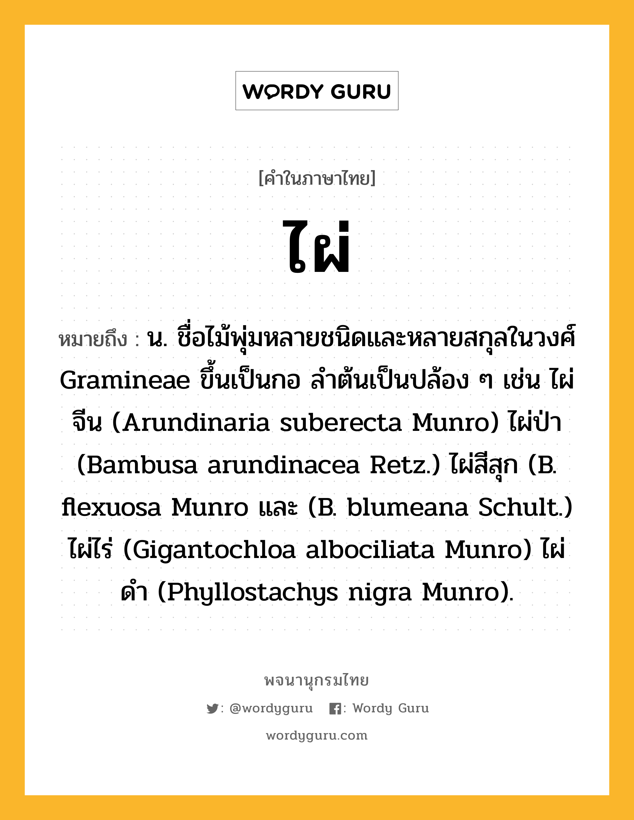 ไผ่ หมายถึงอะไร?, คำในภาษาไทย ไผ่ หมายถึง น. ชื่อไม้พุ่มหลายชนิดและหลายสกุลในวงศ์ Gramineae ขึ้นเป็นกอ ลําต้นเป็นปล้อง ๆ เช่น ไผ่จีน (Arundinaria suberecta Munro) ไผ่ป่า (Bambusa arundinacea Retz.) ไผ่สีสุก (B. flexuosa Munro และ (B. blumeana Schult.) ไผ่ไร่ (Gigantochloa albociliata Munro) ไผ่ดํา (Phyllostachys nigra Munro).