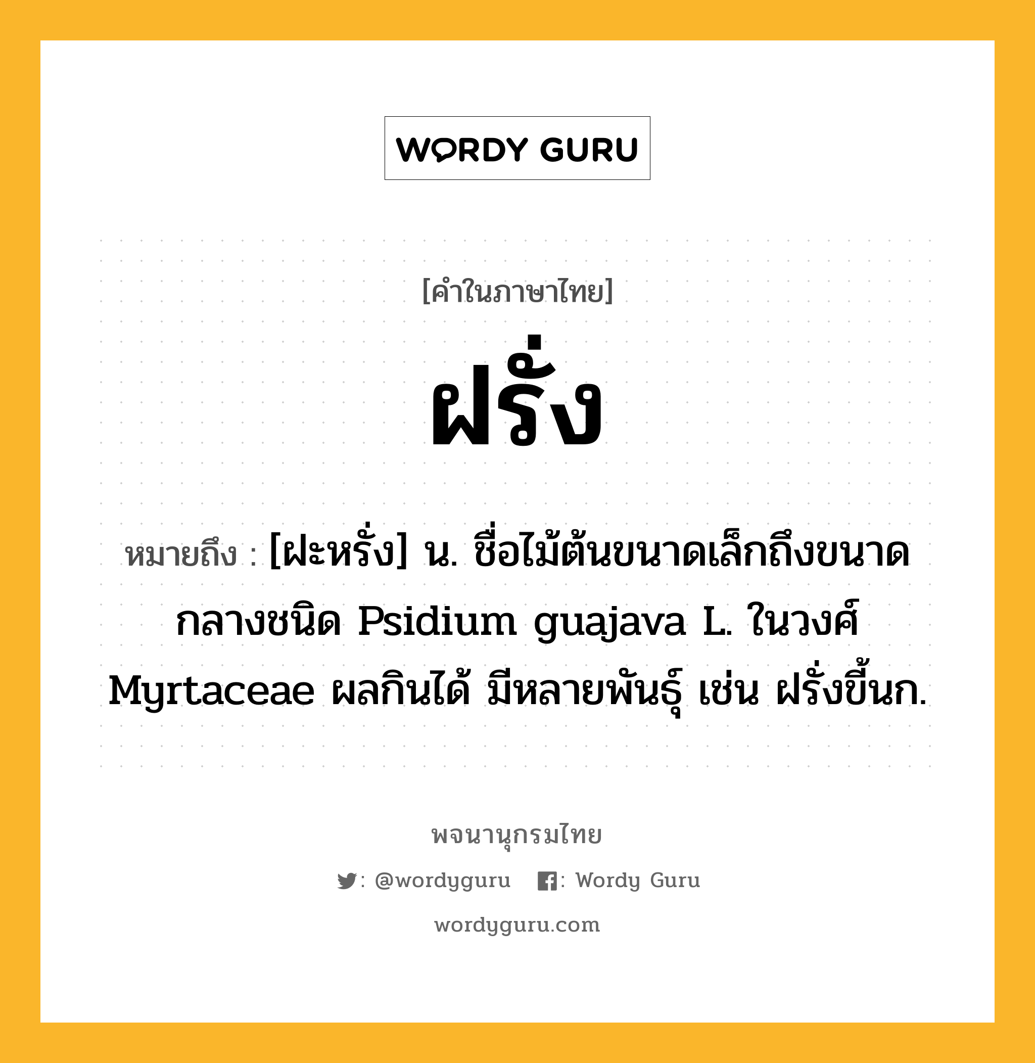 ฝรั่ง หมายถึงอะไร?, คำในภาษาไทย ฝรั่ง หมายถึง [ฝะหรั่ง] น. ชื่อไม้ต้นขนาดเล็กถึงขนาดกลางชนิด Psidium guajava L. ในวงศ์ Myrtaceae ผลกินได้ มีหลายพันธุ์ เช่น ฝรั่งขี้นก.