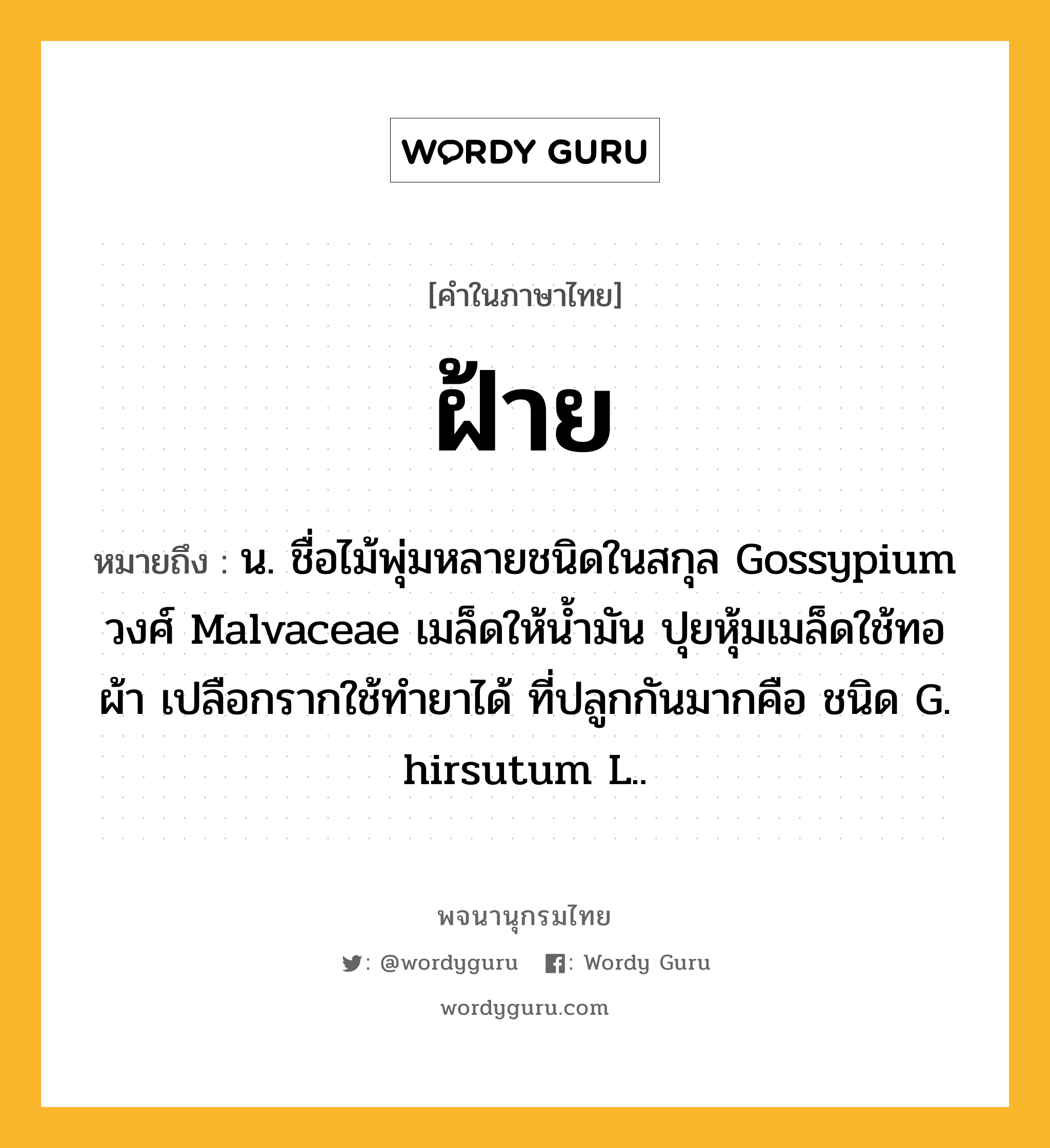 ฝ้าย ความหมาย หมายถึงอะไร?, คำในภาษาไทย ฝ้าย หมายถึง น. ชื่อไม้พุ่มหลายชนิดในสกุล Gossypium วงศ์ Malvaceae เมล็ดให้นํ้ามัน ปุยหุ้มเมล็ดใช้ทอผ้า เปลือกรากใช้ทํายาได้ ที่ปลูกกันมากคือ ชนิด G. hirsutum L..