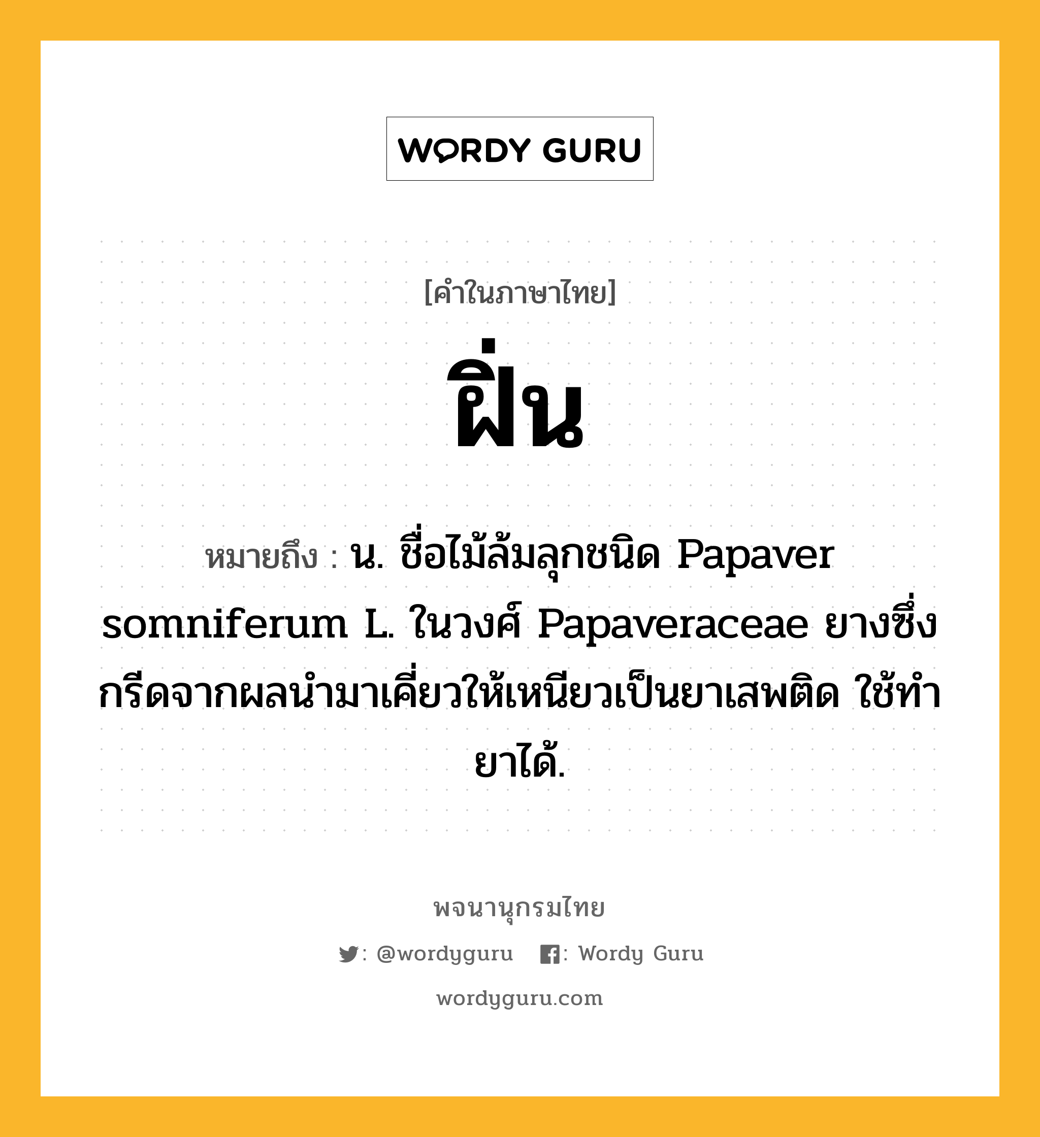 ฝิ่น หมายถึงอะไร?, คำในภาษาไทย ฝิ่น หมายถึง น. ชื่อไม้ล้มลุกชนิด Papaver somniferum L. ในวงศ์ Papaveraceae ยางซึ่งกรีดจากผลนํามาเคี่ยวให้เหนียวเป็นยาเสพติด ใช้ทํายาได้.