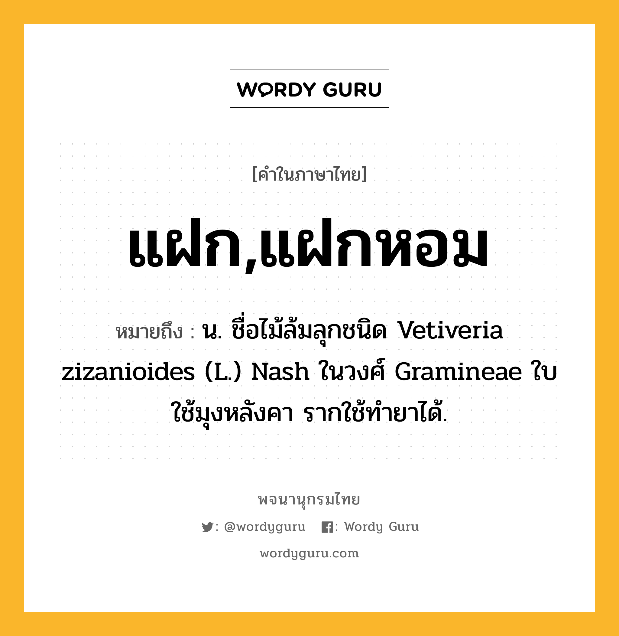 แฝก,แฝกหอม ความหมาย หมายถึงอะไร?, คำในภาษาไทย แฝก,แฝกหอม หมายถึง น. ชื่อไม้ล้มลุกชนิด Vetiveria zizanioides (L.) Nash ในวงศ์ Gramineae ใบใช้มุงหลังคา รากใช้ทํายาได้.