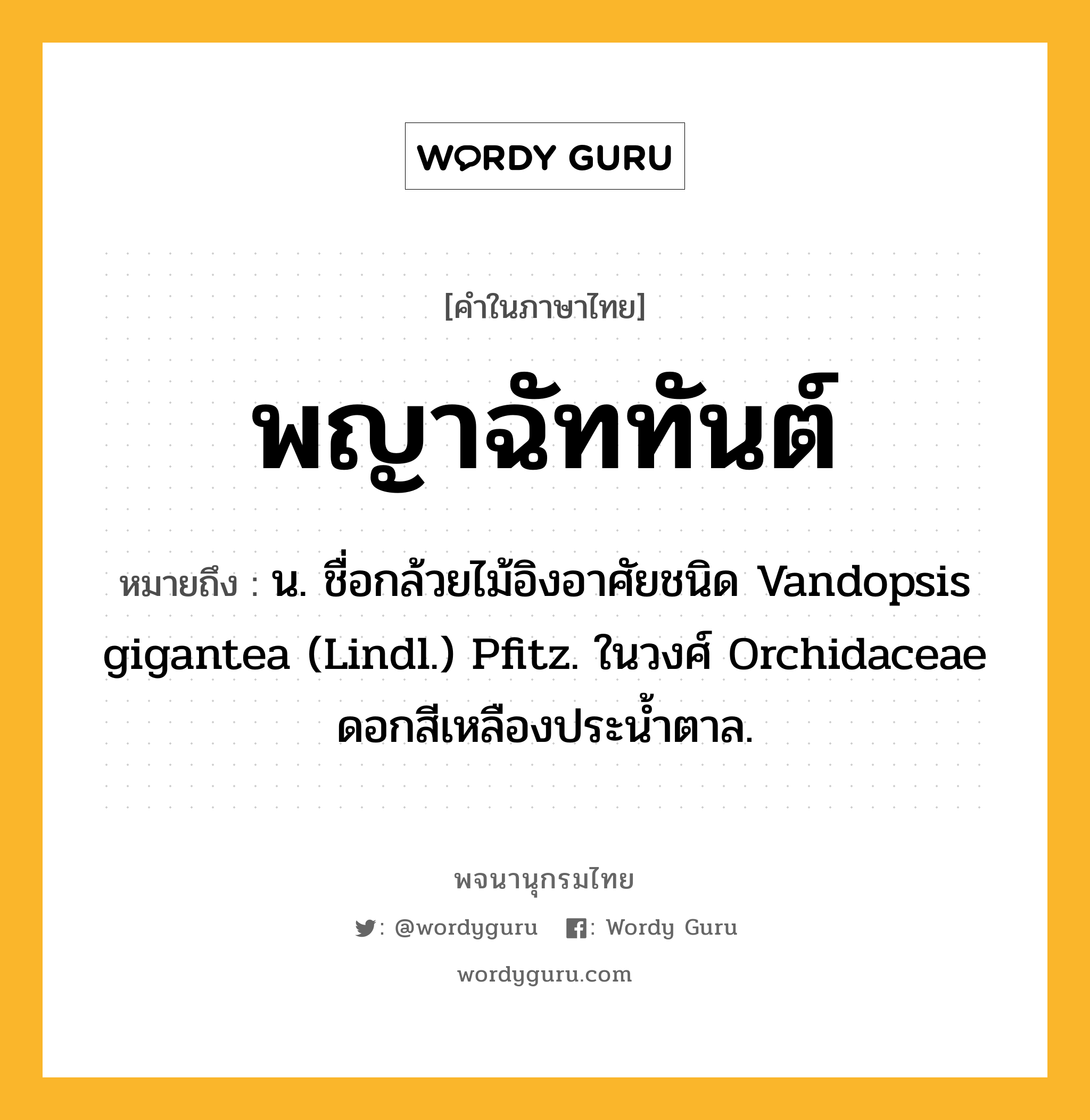 พญาฉัททันต์ หมายถึงอะไร?, คำในภาษาไทย พญาฉัททันต์ หมายถึง น. ชื่อกล้วยไม้อิงอาศัยชนิด Vandopsis gigantea (Lindl.) Pfitz. ในวงศ์ Orchidaceae ดอกสีเหลืองประนํ้าตาล.