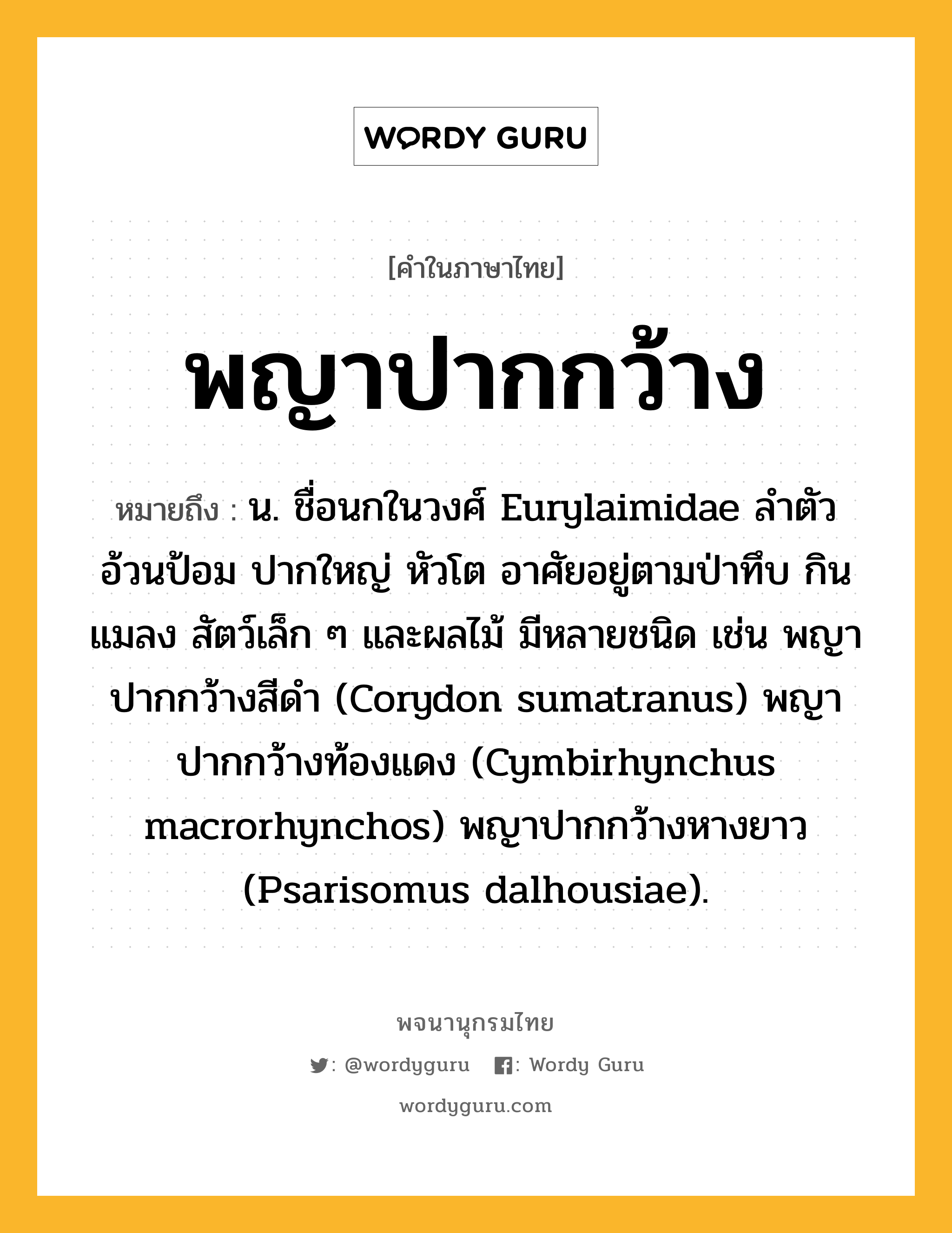 พญาปากกว้าง หมายถึงอะไร?, คำในภาษาไทย พญาปากกว้าง หมายถึง น. ชื่อนกในวงศ์ Eurylaimidae ลําตัวอ้วนป้อม ปากใหญ่ หัวโต อาศัยอยู่ตามป่าทึบ กินแมลง สัตว์เล็ก ๆ และผลไม้ มีหลายชนิด เช่น พญาปากกว้างสีดํา (Corydon sumatranus) พญาปากกว้างท้องแดง (Cymbirhynchus macrorhynchos) พญาปากกว้างหางยาว (Psarisomus dalhousiae).