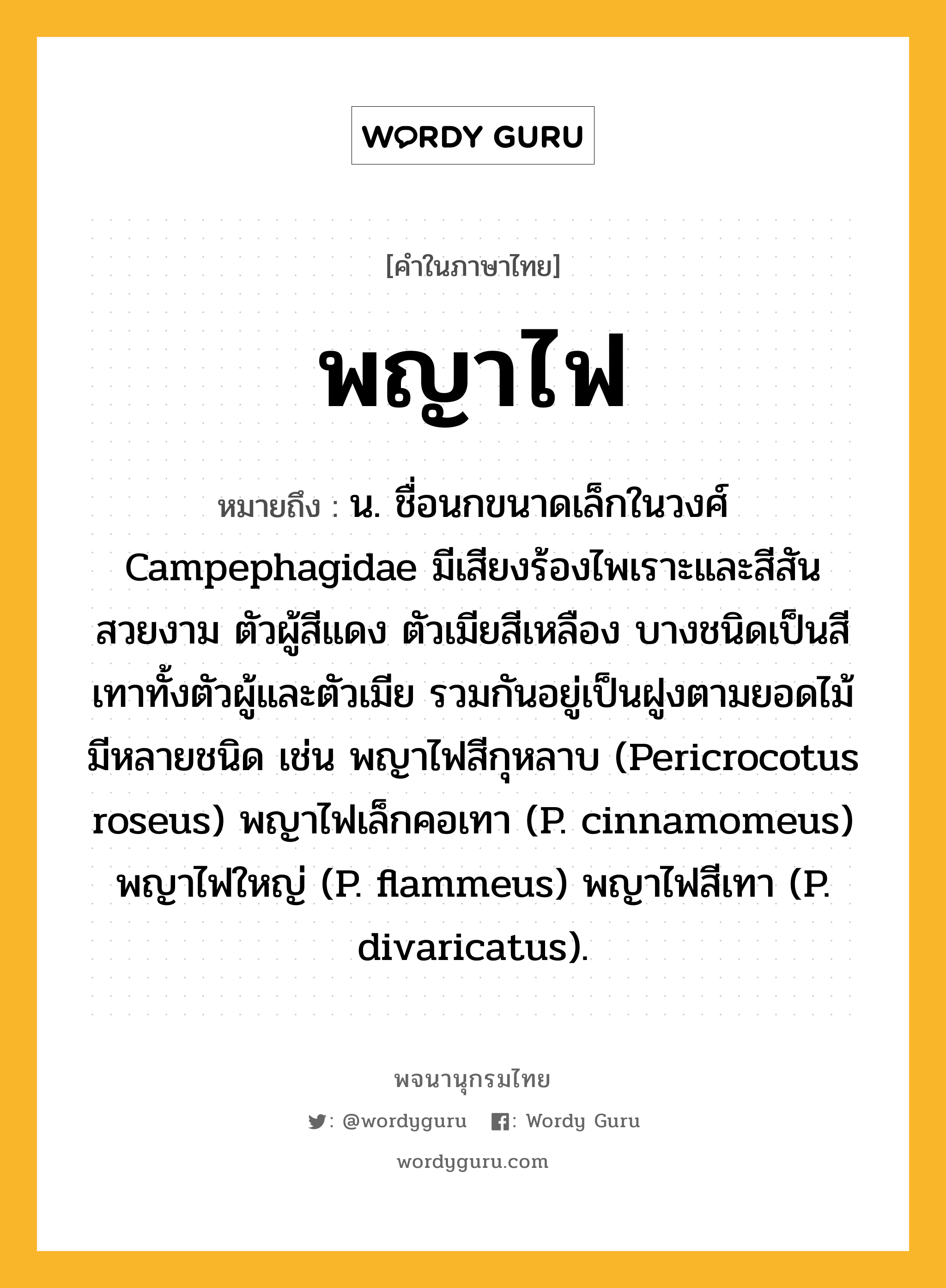 พญาไฟ หมายถึงอะไร?, คำในภาษาไทย พญาไฟ หมายถึง น. ชื่อนกขนาดเล็กในวงศ์ Campephagidae มีเสียงร้องไพเราะและสีสันสวยงาม ตัวผู้สีแดง ตัวเมียสีเหลือง บางชนิดเป็นสีเทาทั้งตัวผู้และตัวเมีย รวมกันอยู่เป็นฝูงตามยอดไม้ มีหลายชนิด เช่น พญาไฟสีกุหลาบ (Pericrocotus roseus) พญาไฟเล็กคอเทา (P. cinnamomeus) พญาไฟใหญ่ (P. flammeus) พญาไฟสีเทา (P. divaricatus).