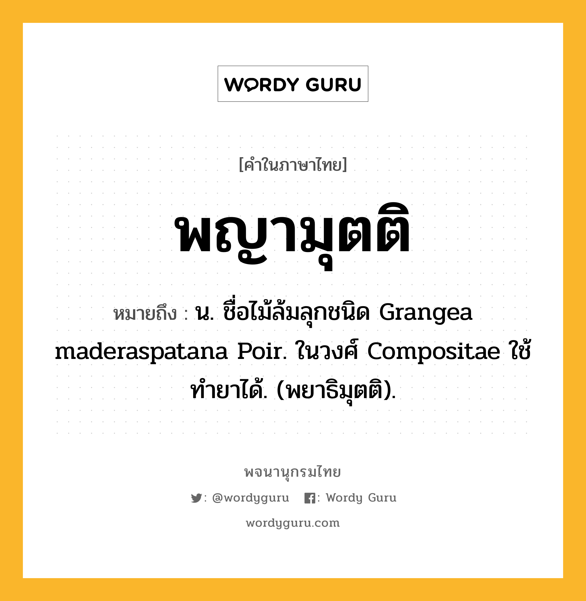 พญามุตติ หมายถึงอะไร?, คำในภาษาไทย พญามุตติ หมายถึง น. ชื่อไม้ล้มลุกชนิด Grangea maderaspatana Poir. ในวงศ์ Compositae ใช้ทํายาได้. (พยาธิมุตติ).