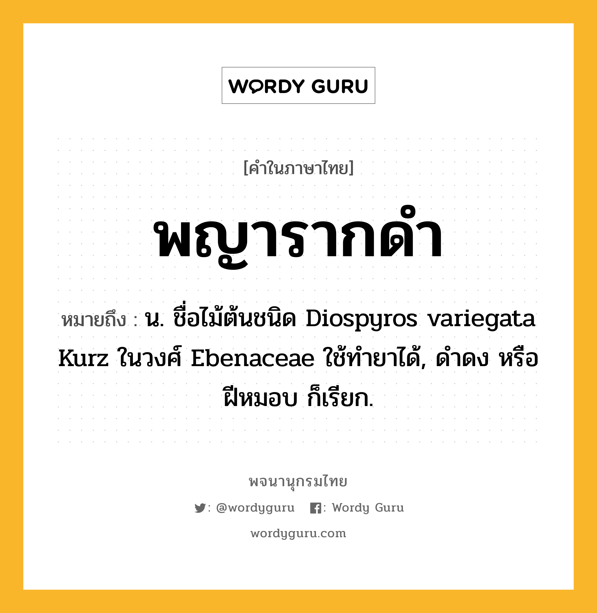 พญารากดำ หมายถึงอะไร?, คำในภาษาไทย พญารากดำ หมายถึง น. ชื่อไม้ต้นชนิด Diospyros variegata Kurz ในวงศ์ Ebenaceae ใช้ทํายาได้, ดําดง หรือ ฝีหมอบ ก็เรียก.