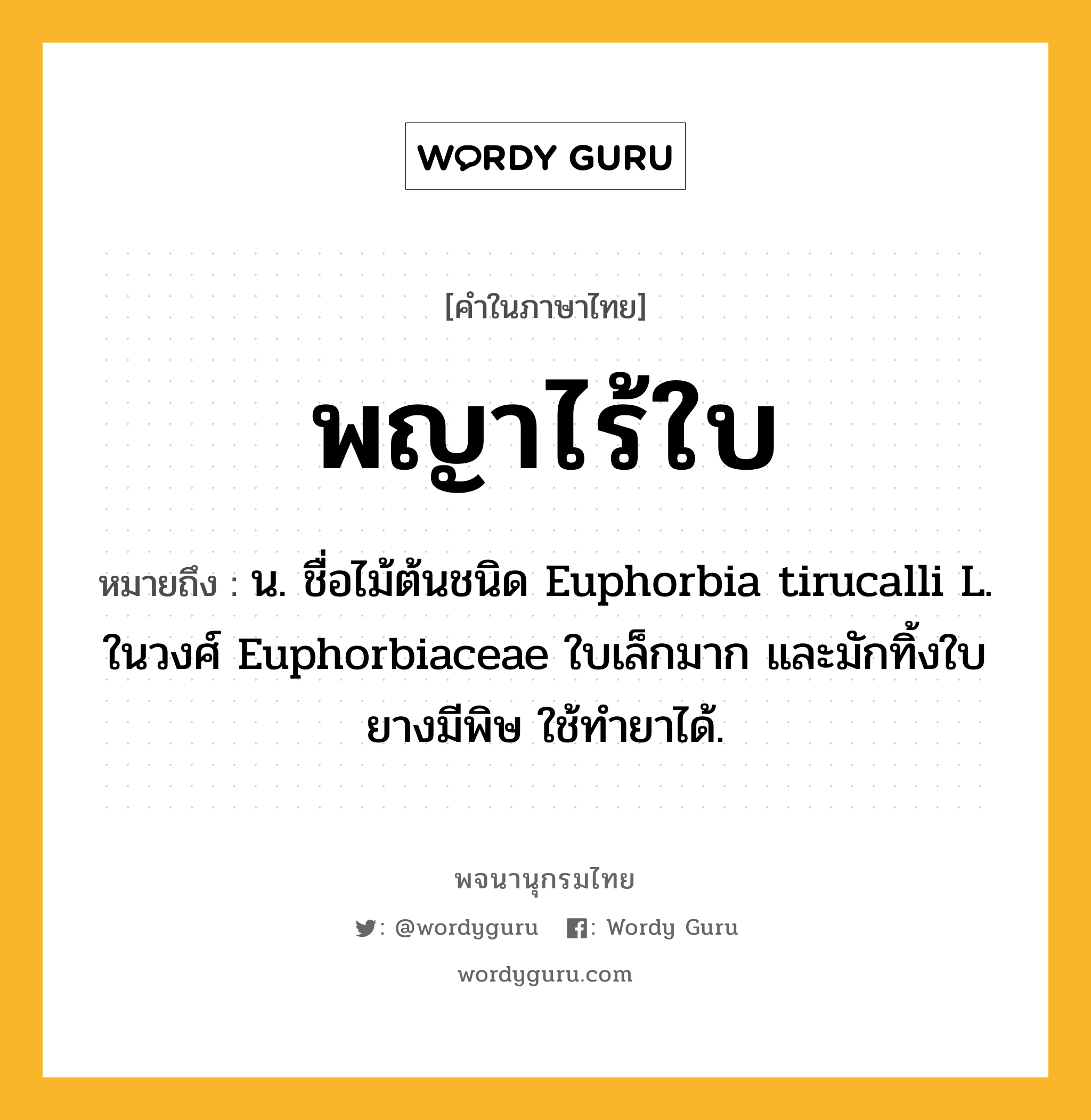 พญาไร้ใบ หมายถึงอะไร?, คำในภาษาไทย พญาไร้ใบ หมายถึง น. ชื่อไม้ต้นชนิด Euphorbia tirucalli L. ในวงศ์ Euphorbiaceae ใบเล็กมาก และมักทิ้งใบ ยางมีพิษ ใช้ทํายาได้.