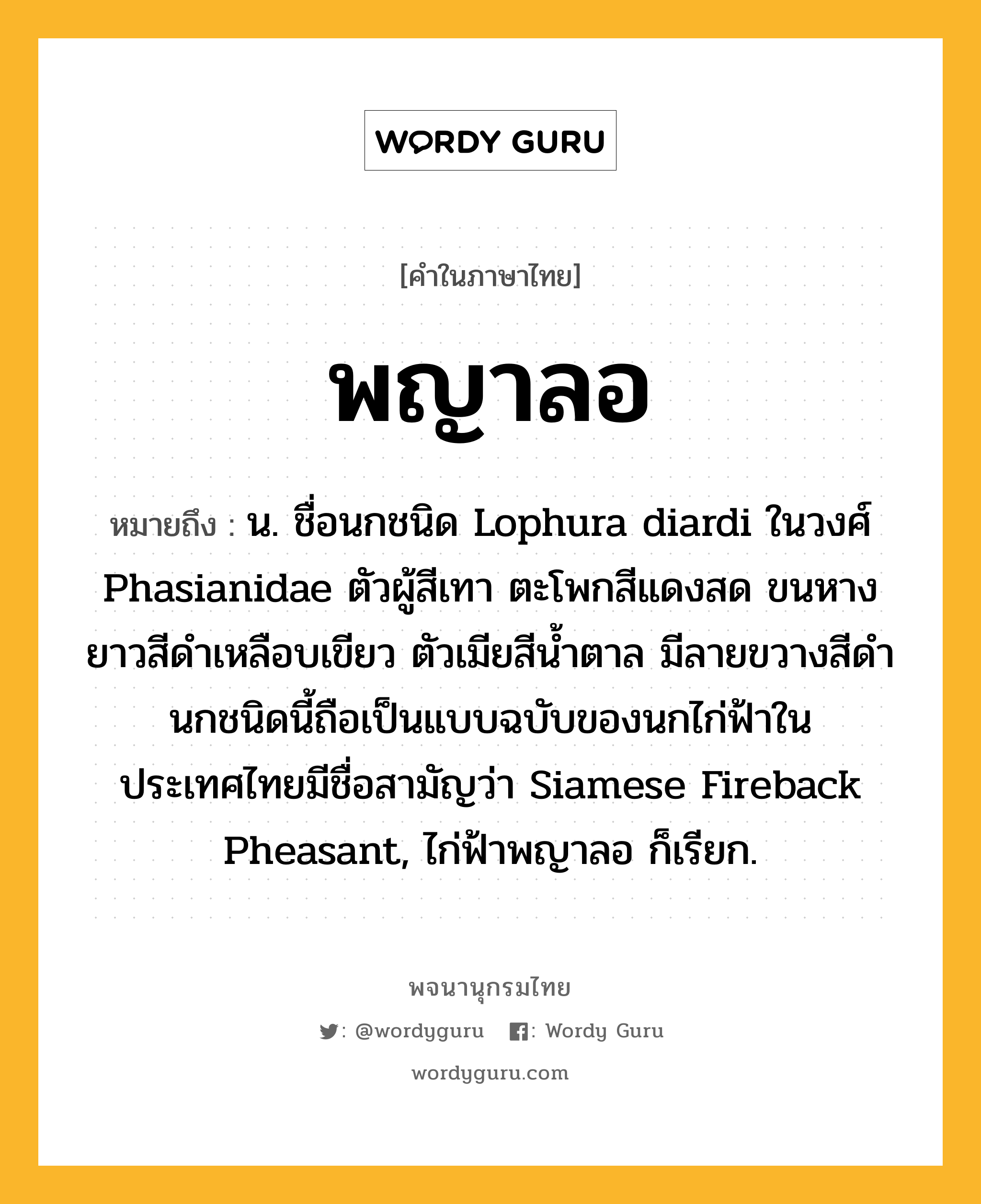 พญาลอ หมายถึงอะไร?, คำในภาษาไทย พญาลอ หมายถึง น. ชื่อนกชนิด Lophura diardi ในวงศ์ Phasianidae ตัวผู้สีเทา ตะโพกสีแดงสด ขนหางยาวสีดําเหลือบเขียว ตัวเมียสีนํ้าตาล มีลายขวางสีดํา นกชนิดนี้ถือเป็นแบบฉบับของนกไก่ฟ้าในประเทศไทยมีชื่อสามัญว่า Siamese Fireback Pheasant, ไก่ฟ้าพญาลอ ก็เรียก.