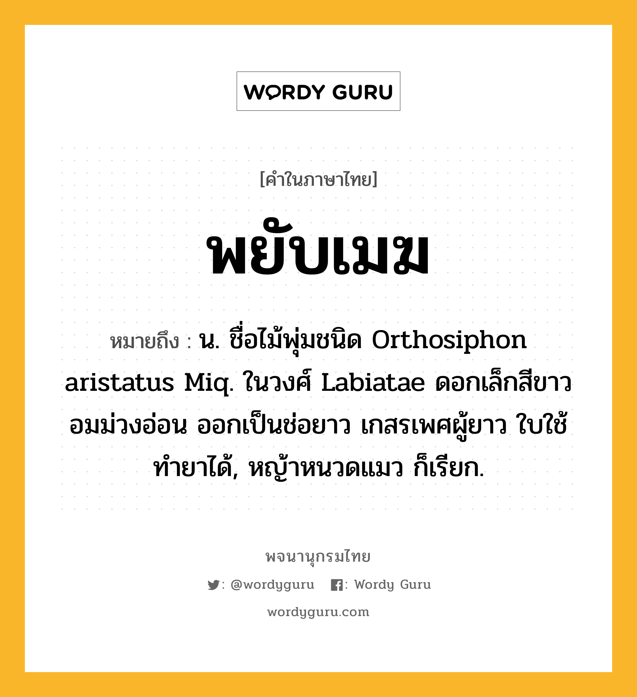 พยับเมฆ หมายถึงอะไร?, คำในภาษาไทย พยับเมฆ หมายถึง น. ชื่อไม้พุ่มชนิด Orthosiphon aristatus Miq. ในวงศ์ Labiatae ดอกเล็กสีขาวอมม่วงอ่อน ออกเป็นช่อยาว เกสรเพศผู้ยาว ใบใช้ทํายาได้, หญ้าหนวดแมว ก็เรียก.