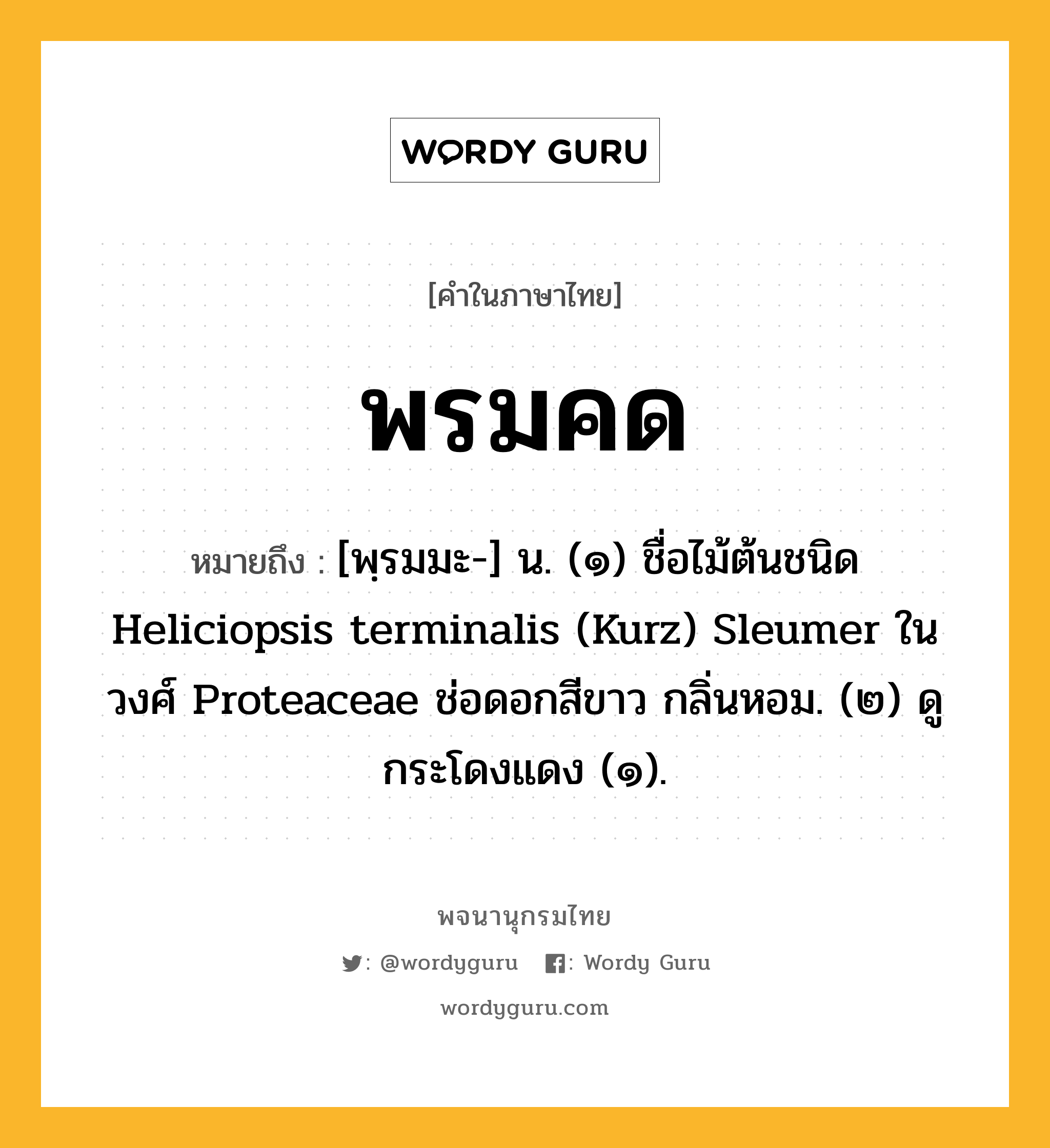 พรมคด หมายถึงอะไร?, คำในภาษาไทย พรมคด หมายถึง [พฺรมมะ-] น. (๑) ชื่อไม้ต้นชนิด Heliciopsis terminalis (Kurz) Sleumer ในวงศ์ Proteaceae ช่อดอกสีขาว กลิ่นหอม. (๒) ดู กระโดงแดง (๑).