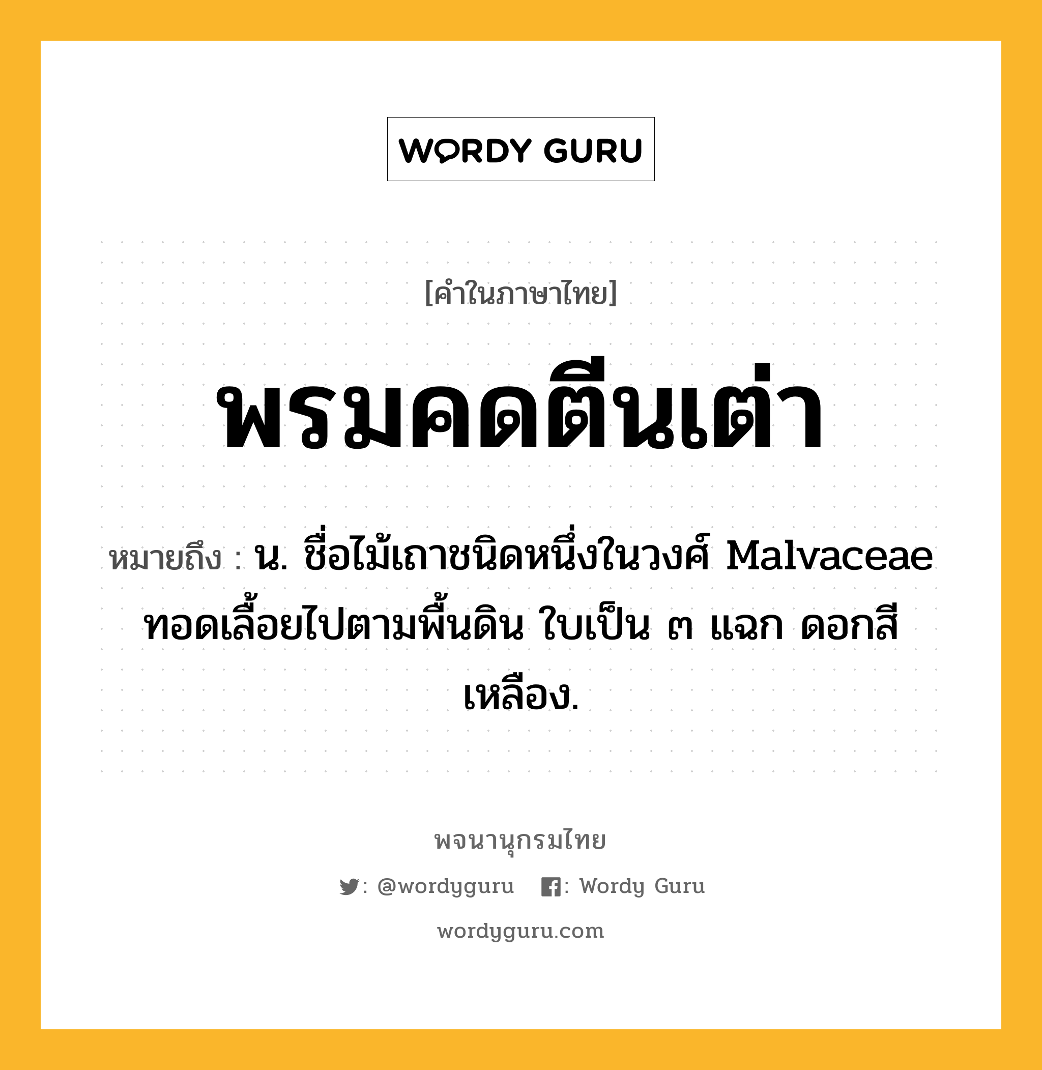 พรมคดตีนเต่า ความหมาย หมายถึงอะไร?, คำในภาษาไทย พรมคดตีนเต่า หมายถึง น. ชื่อไม้เถาชนิดหนึ่งในวงศ์ Malvaceae ทอดเลื้อยไปตามพื้นดิน ใบเป็น ๓ แฉก ดอกสีเหลือง.