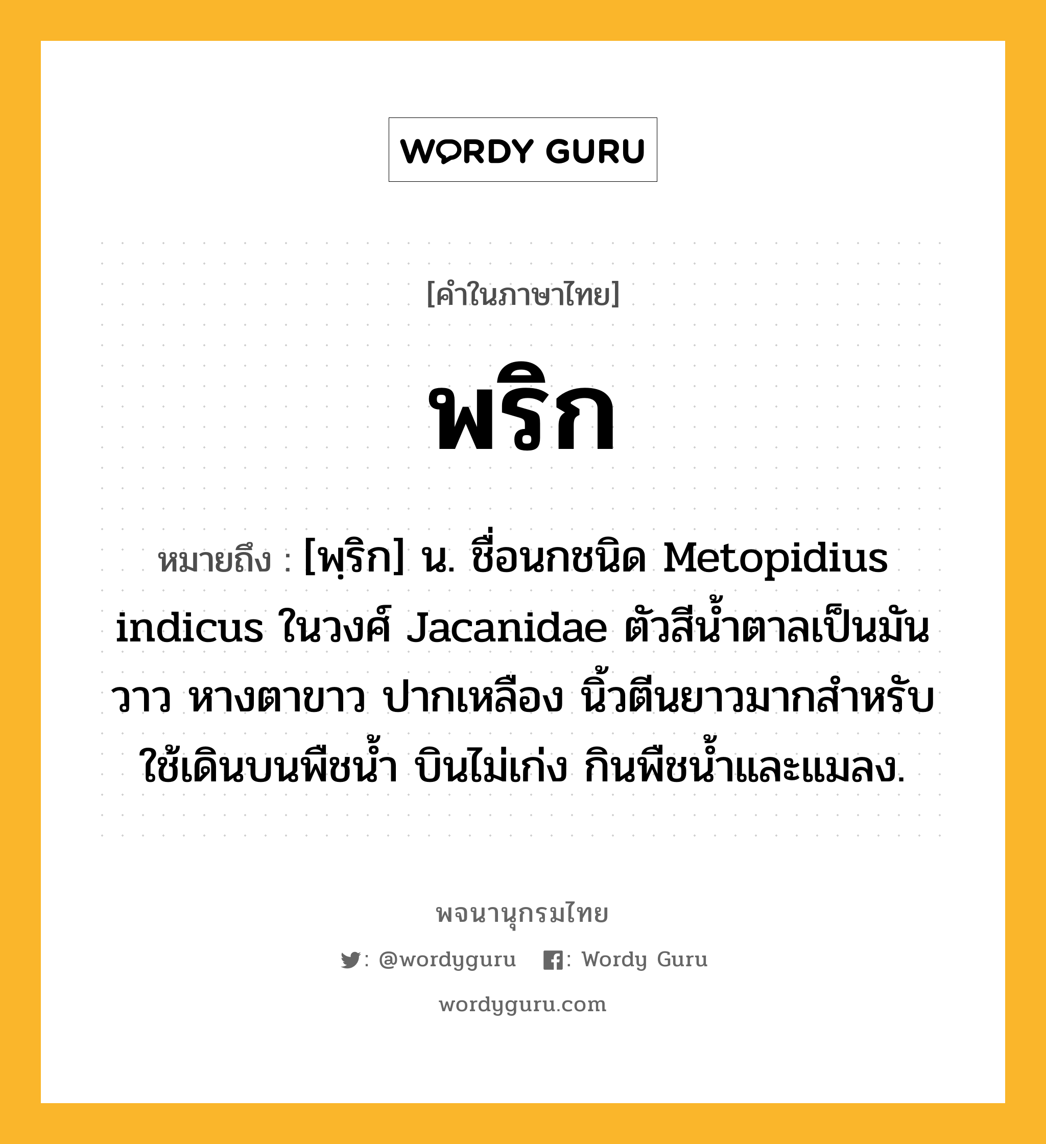 พริก หมายถึงอะไร?, คำในภาษาไทย พริก หมายถึง [พฺริก] น. ชื่อนกชนิด Metopidius indicus ในวงศ์ Jacanidae ตัวสีนํ้าตาลเป็นมันวาว หางตาขาว ปากเหลือง นิ้วตีนยาวมากสําหรับใช้เดินบนพืชนํ้า บินไม่เก่ง กินพืชนํ้าและแมลง.