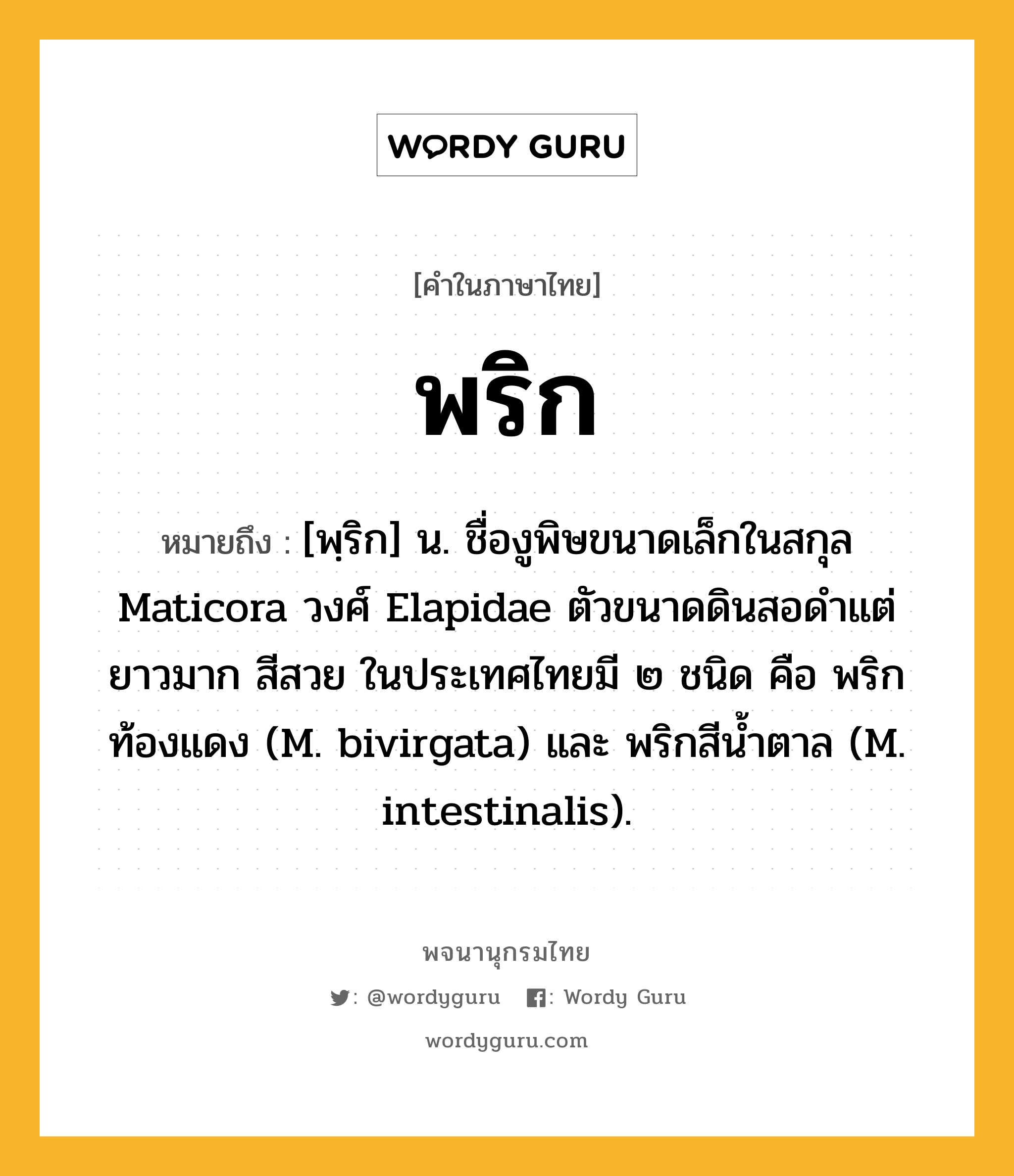 พริก หมายถึงอะไร?, คำในภาษาไทย พริก หมายถึง [พฺริก] น. ชื่องูพิษขนาดเล็กในสกุล Maticora วงศ์ Elapidae ตัวขนาดดินสอดําแต่ยาวมาก สีสวย ในประเทศไทยมี ๒ ชนิด คือ พริกท้องแดง (M. bivirgata) และ พริกสีนํ้าตาล (M. intestinalis).